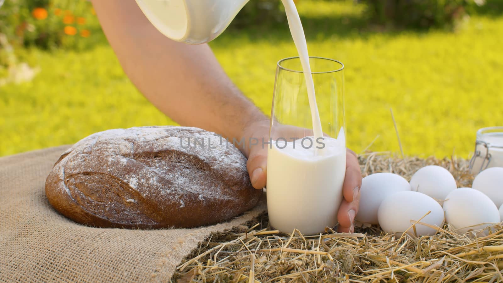 Bread, chicken eggs and milk by Alize