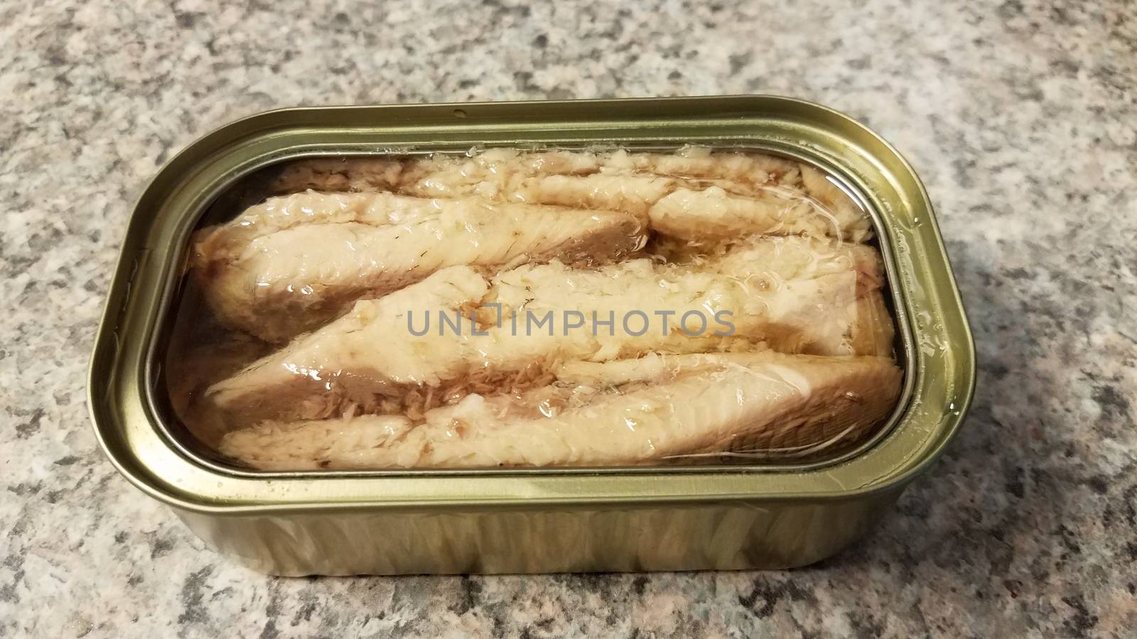 metal can of sardine fish in oil on counter