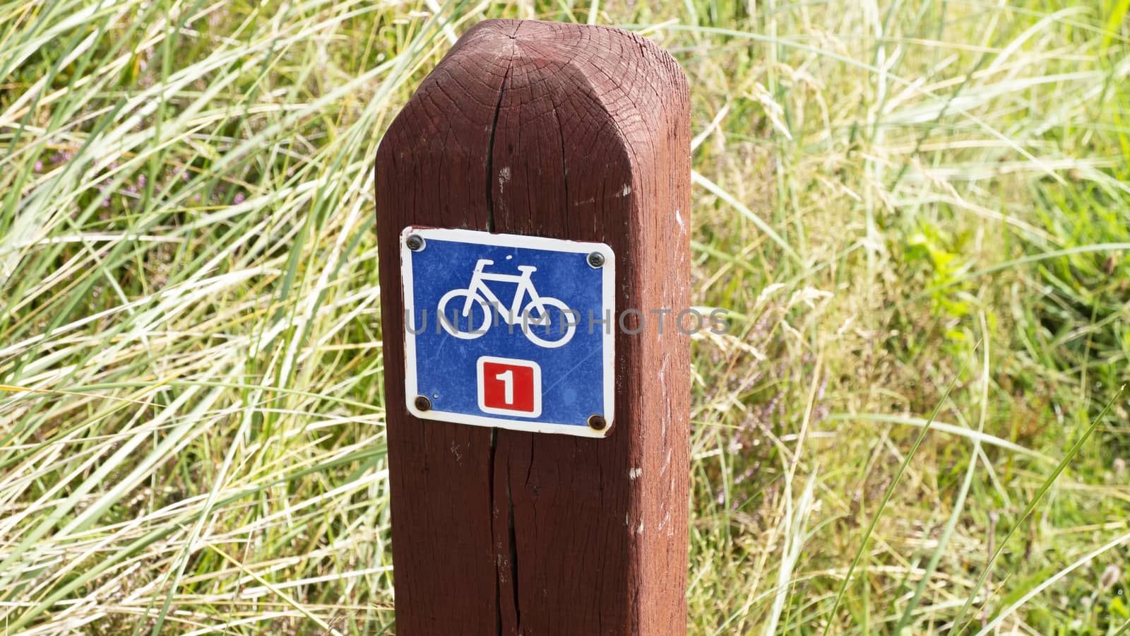 Nationalpark Thy Bicycle path by Fr@nk