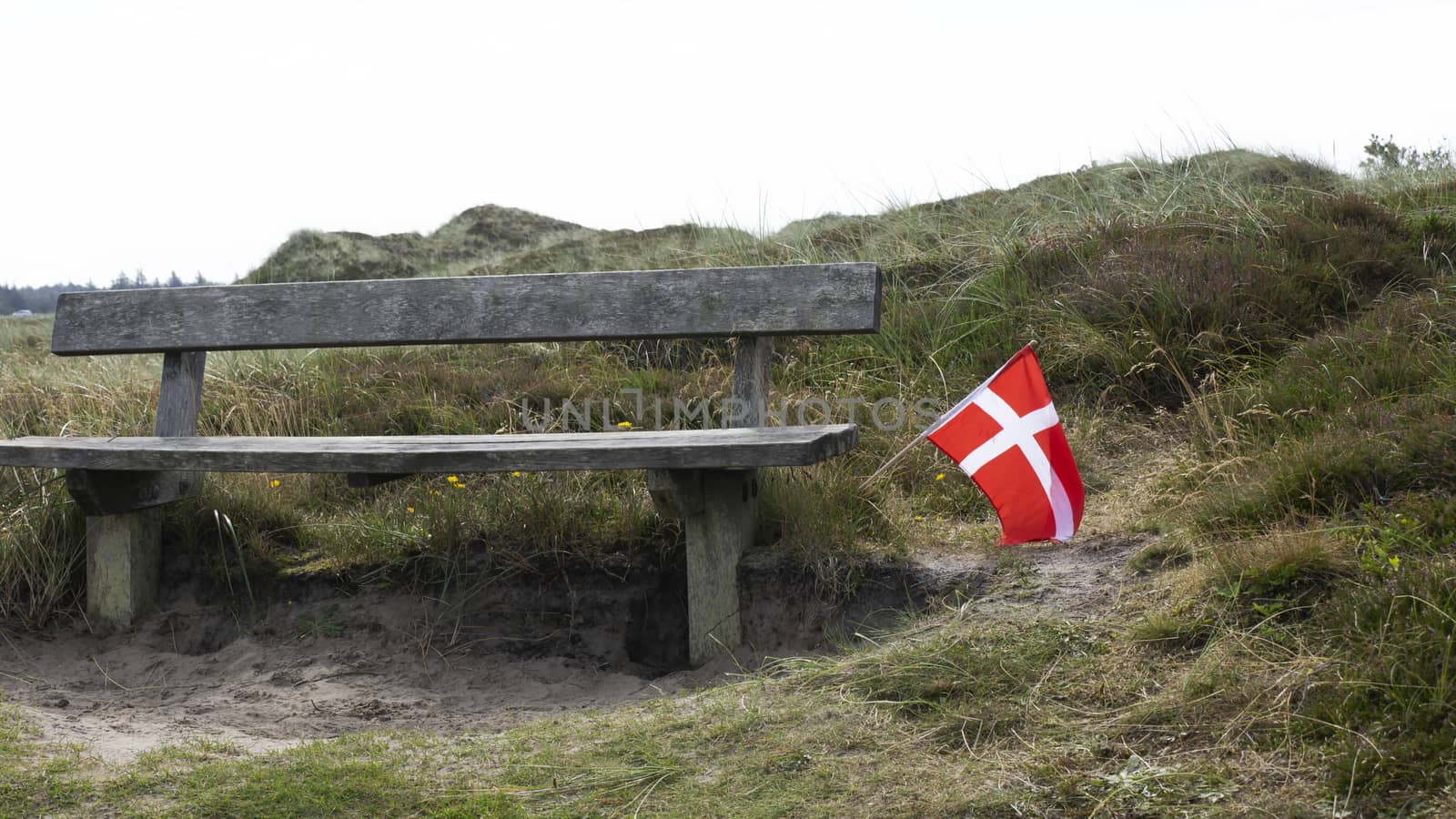 A bench to rest in the national park in Denmark