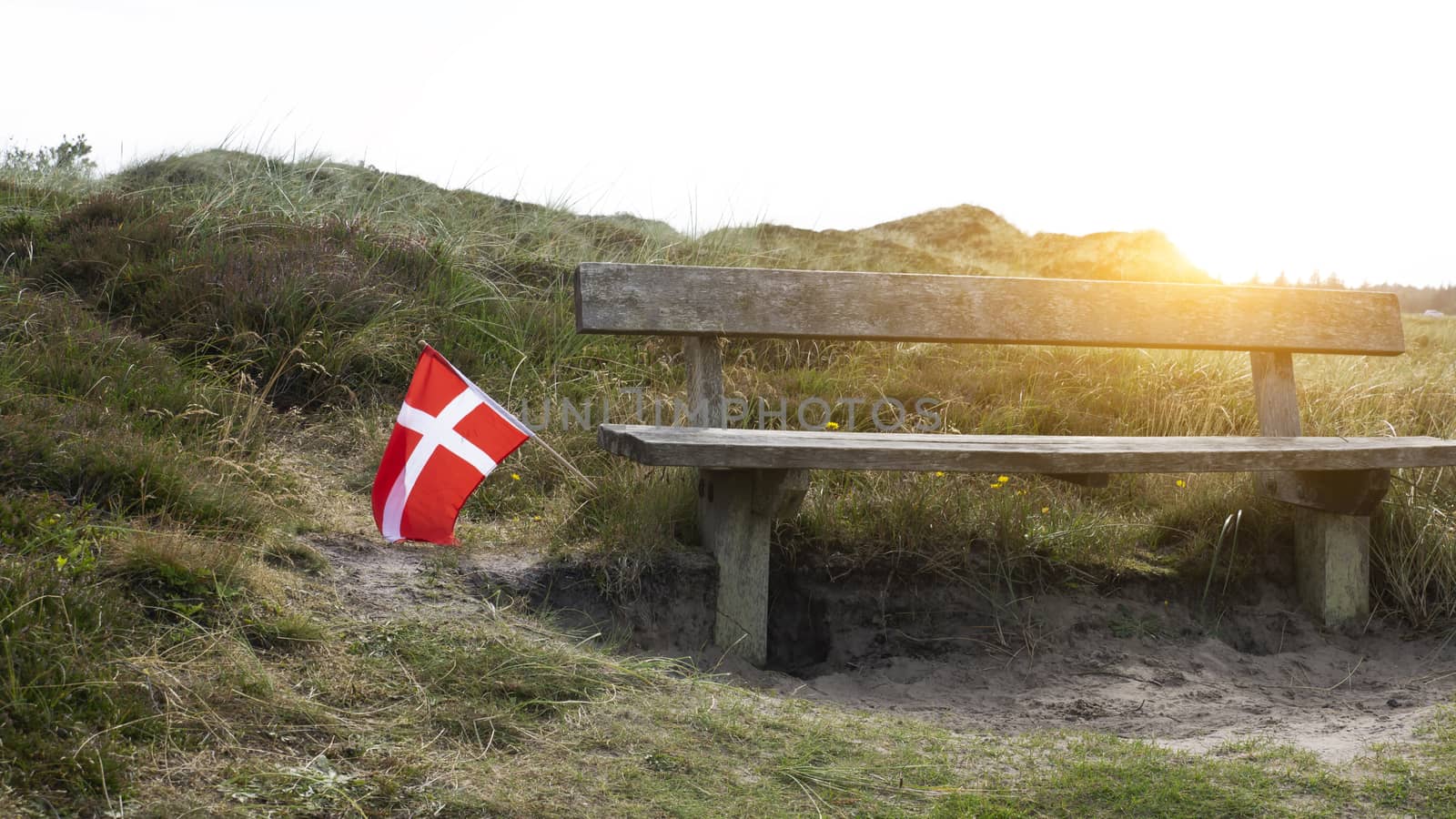 A bench to rest in the national park in Denmark