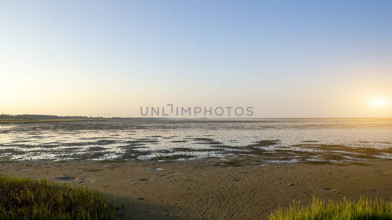 Salt marsh by Fr@nk