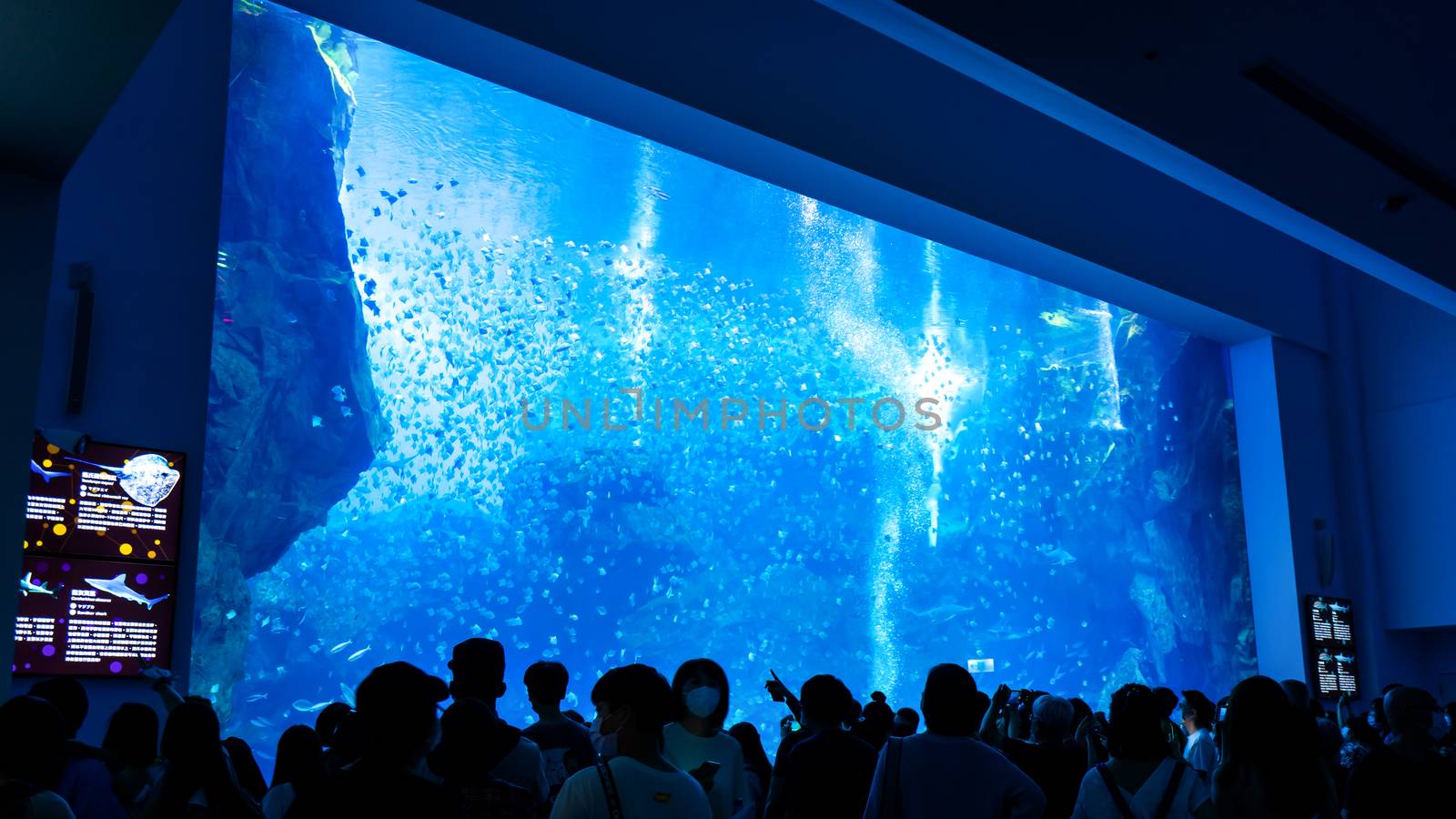 Taoyuan, Taiwan - Sep. 02, 2020: New-opened aquarium - Xpark building, popular landmark of Taoyuan Qingpu.