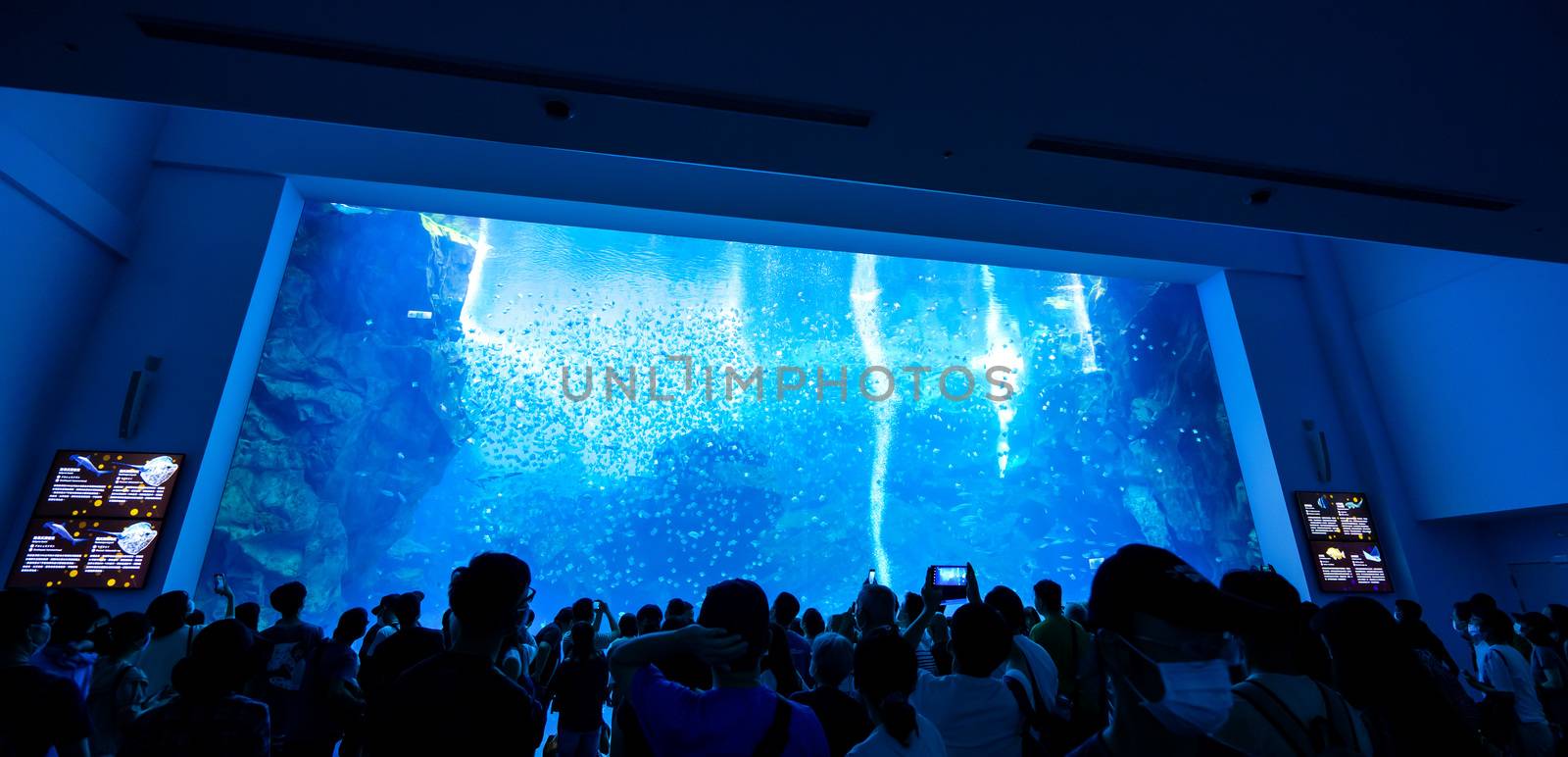 Taoyuan, Taiwan - Sep. 02, 2020: New-opened aquarium - Xpark building, popular landmark of Taoyuan Qingpu.