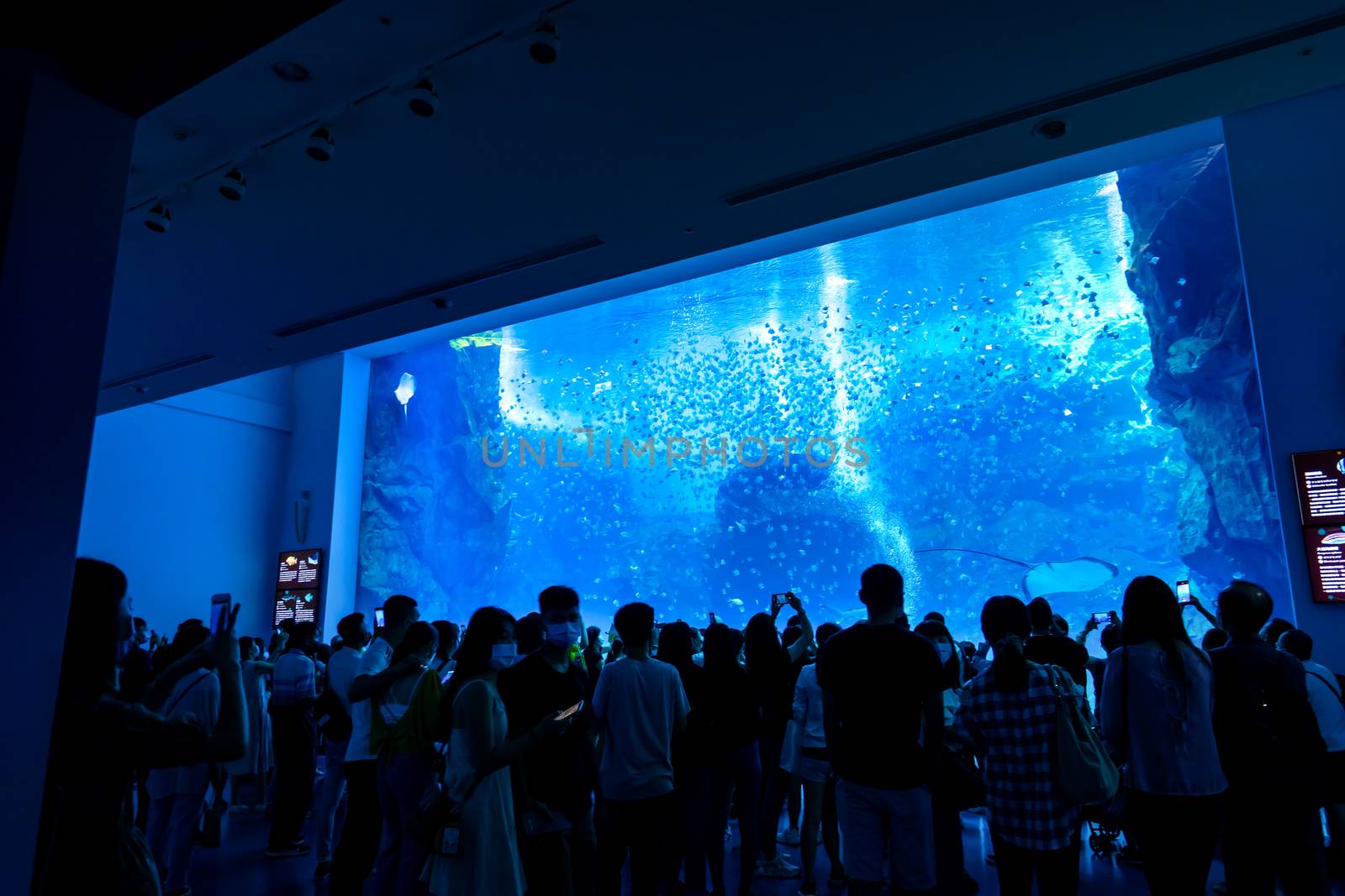 Taoyuan, Taiwan - Sep. 02, 2020: New-opened aquarium - Xpark building, popular landmark of Taoyuan Qingpu.