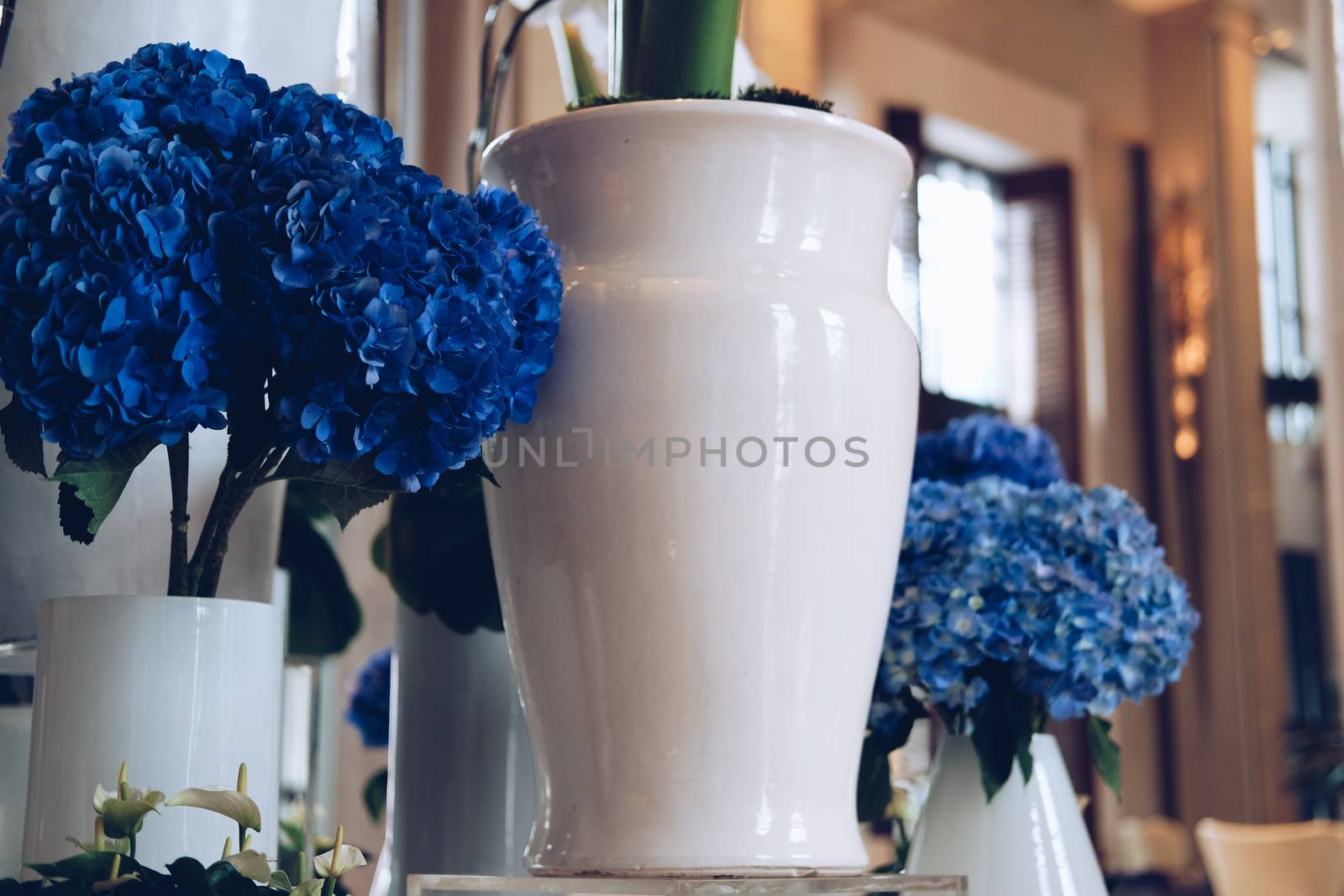 blue hydrangea flower bouquet bunch in vase. flora decoration