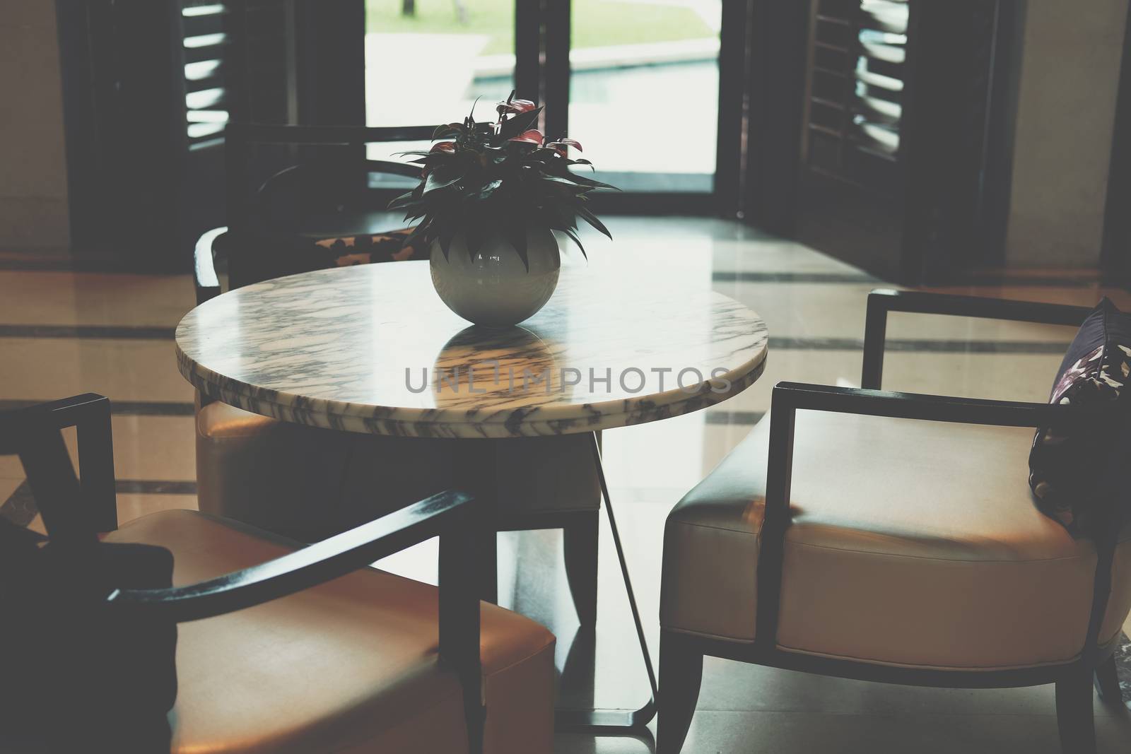 plant pot & leather cushion wooden chair in living room. home interior