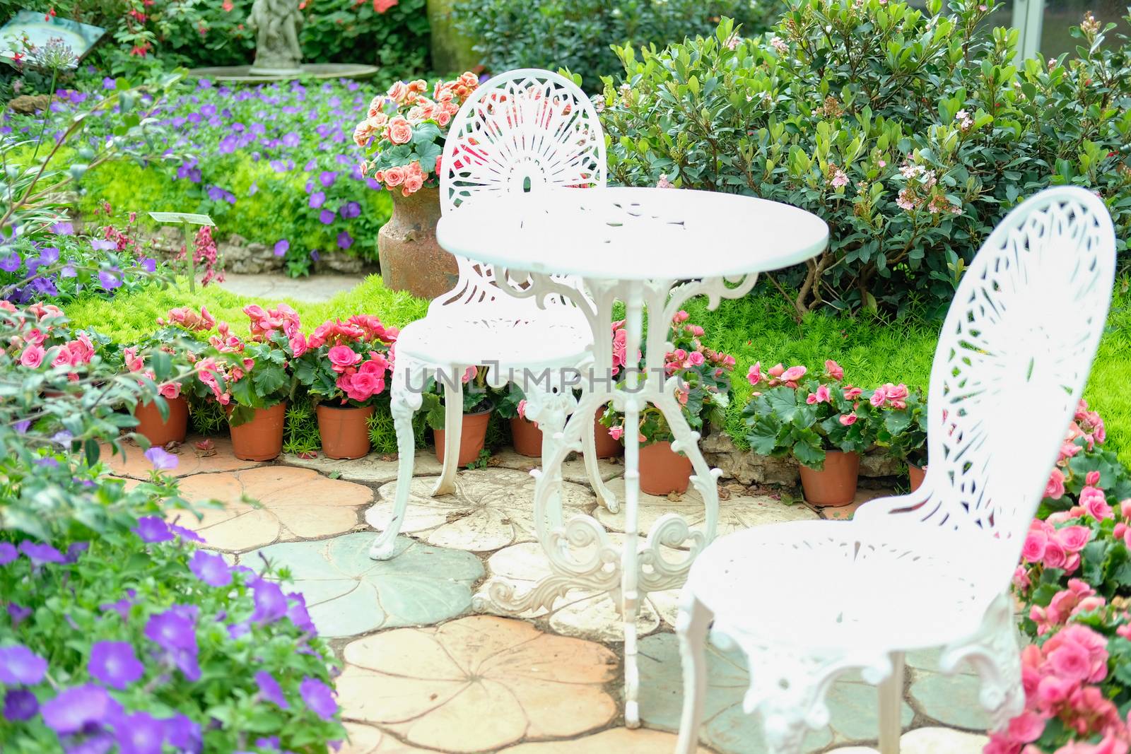 white metal seat chair in flower garden park in spring summer