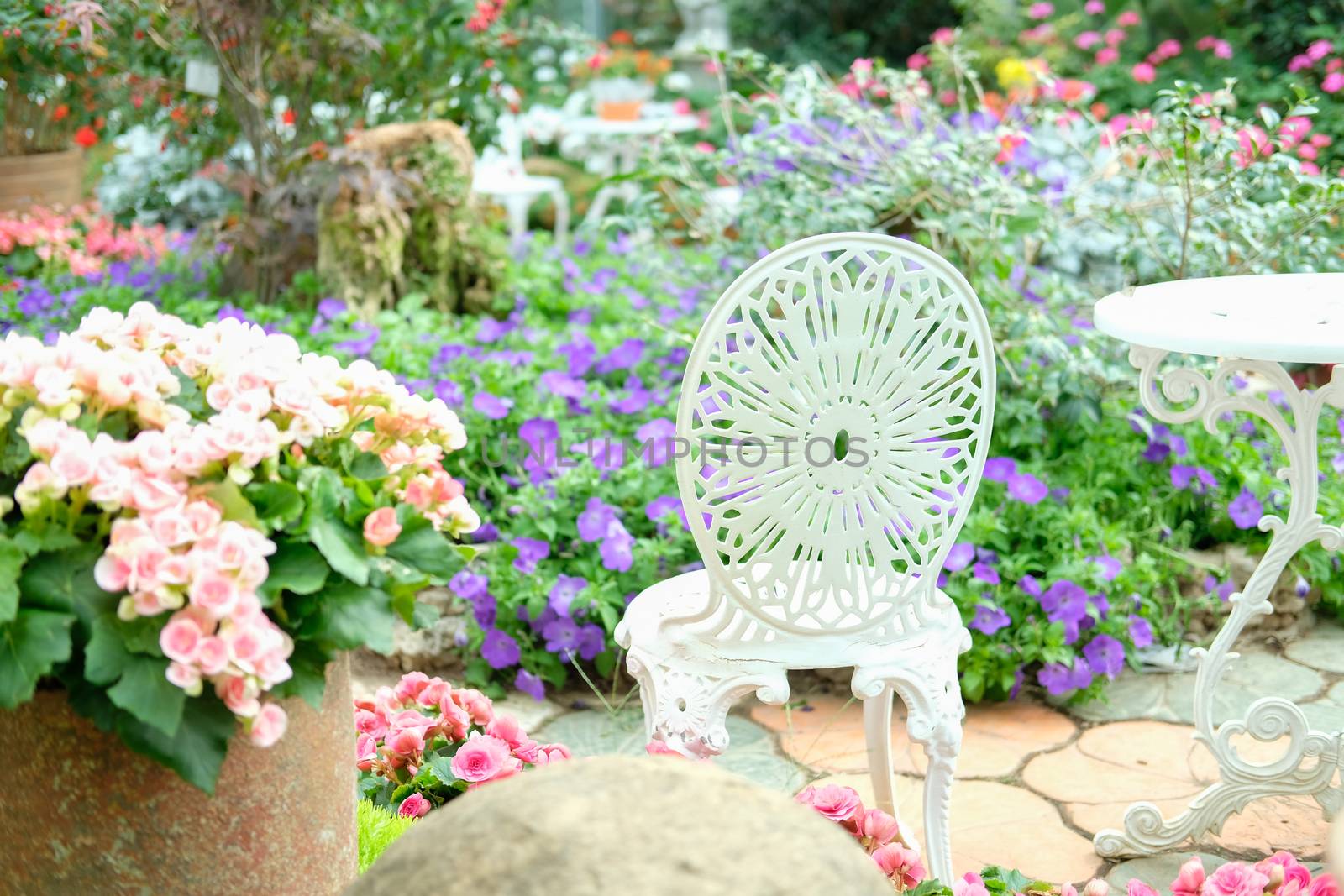 white metal seat chair in flower garden park in spring summer