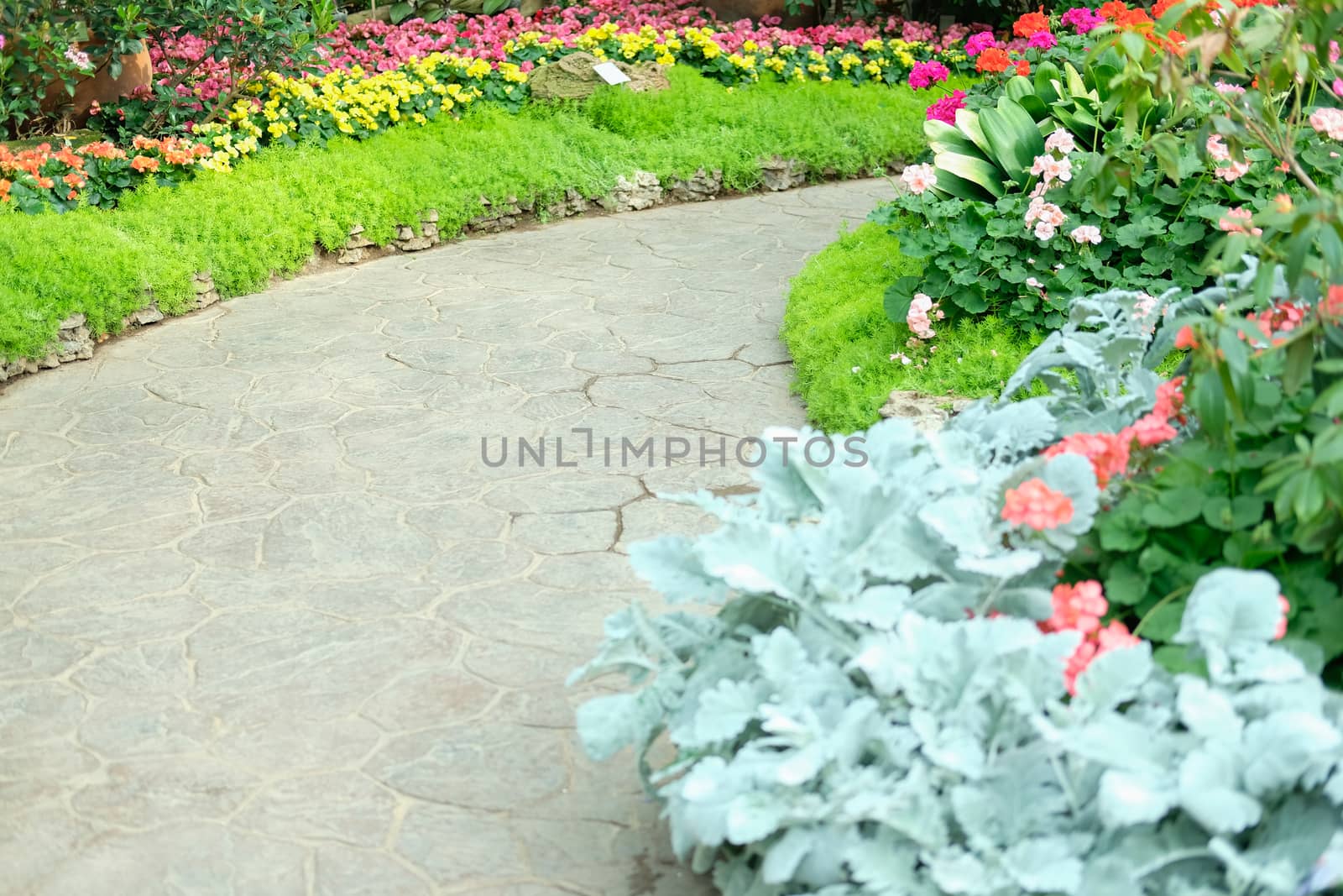 walkway pathway in flower garden park. tranquil nature scene