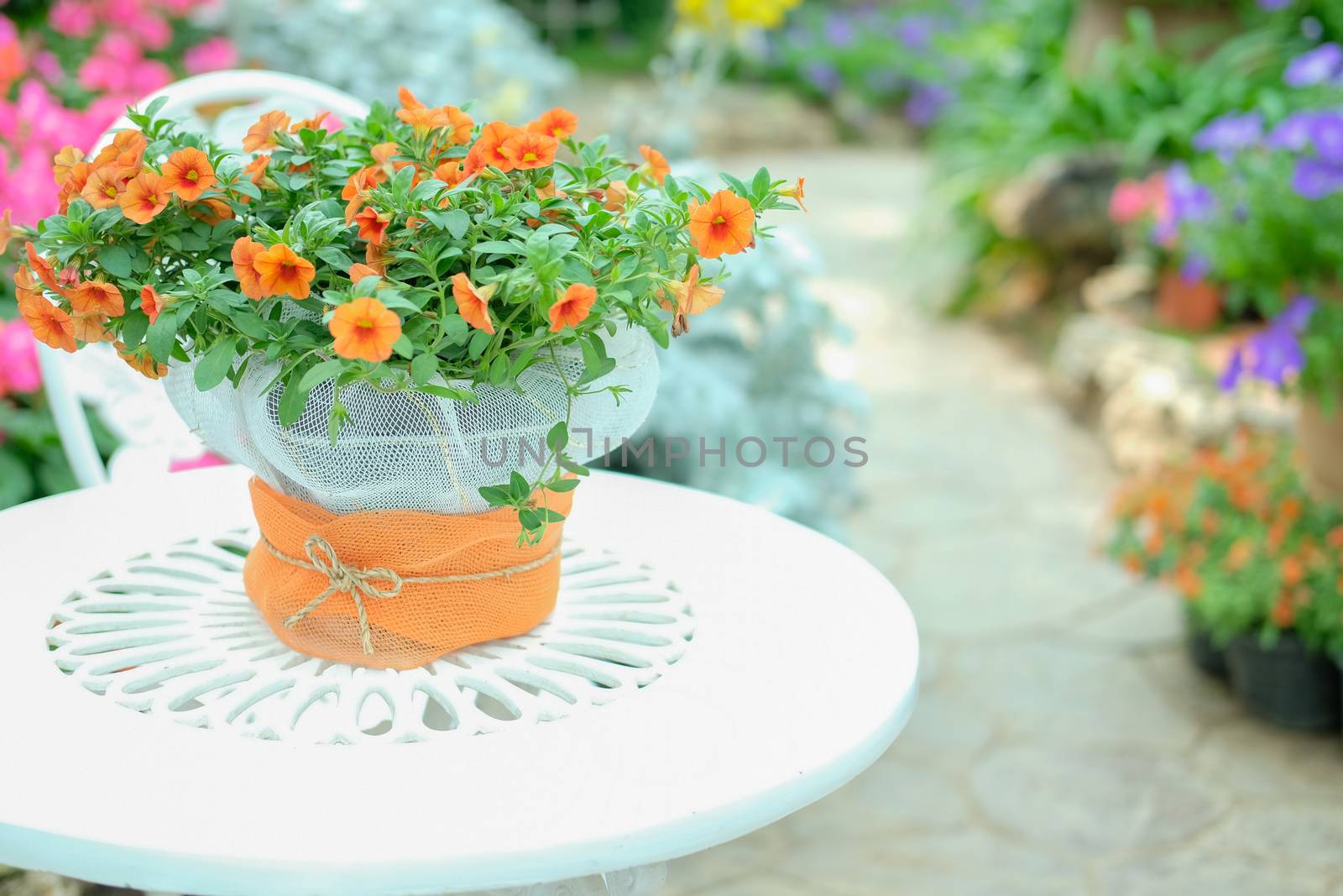 orange flower bouquet on metal table in flower garden park