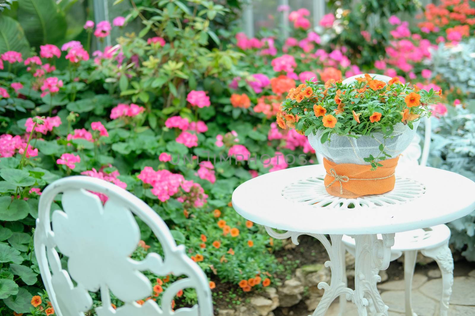 orange flower bouquet on metal table in flower garden park