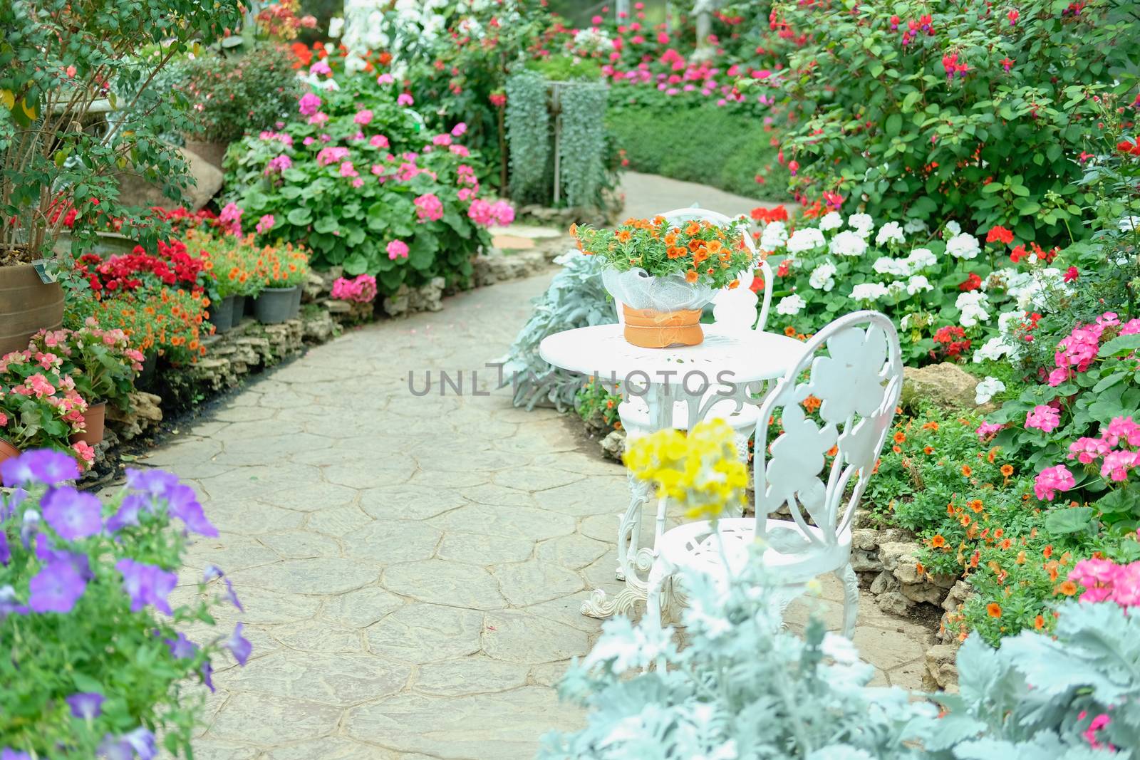 orange flower bouquet on metal table in flower garden park