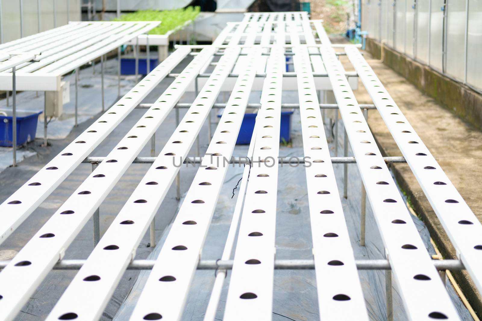 Hydroponic rail pipe with hole for growing vegetable plant in farm
