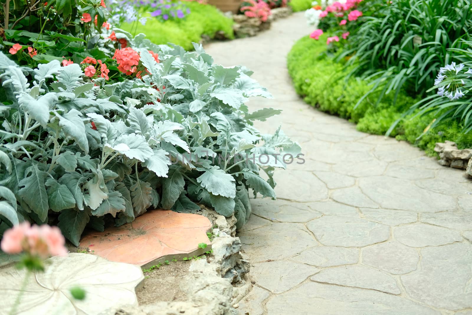 walkway pathway in flower garden park. tranquil nature scene