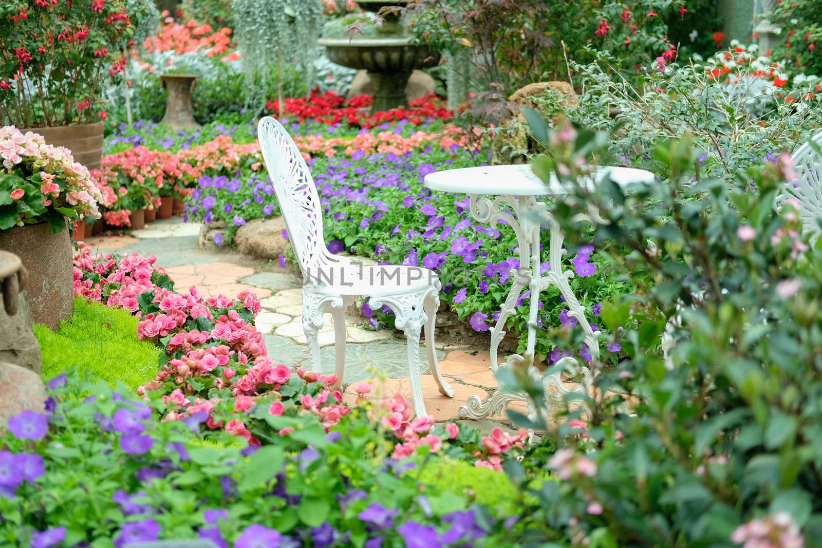 white metal seat chair in flower garden park in spring summer