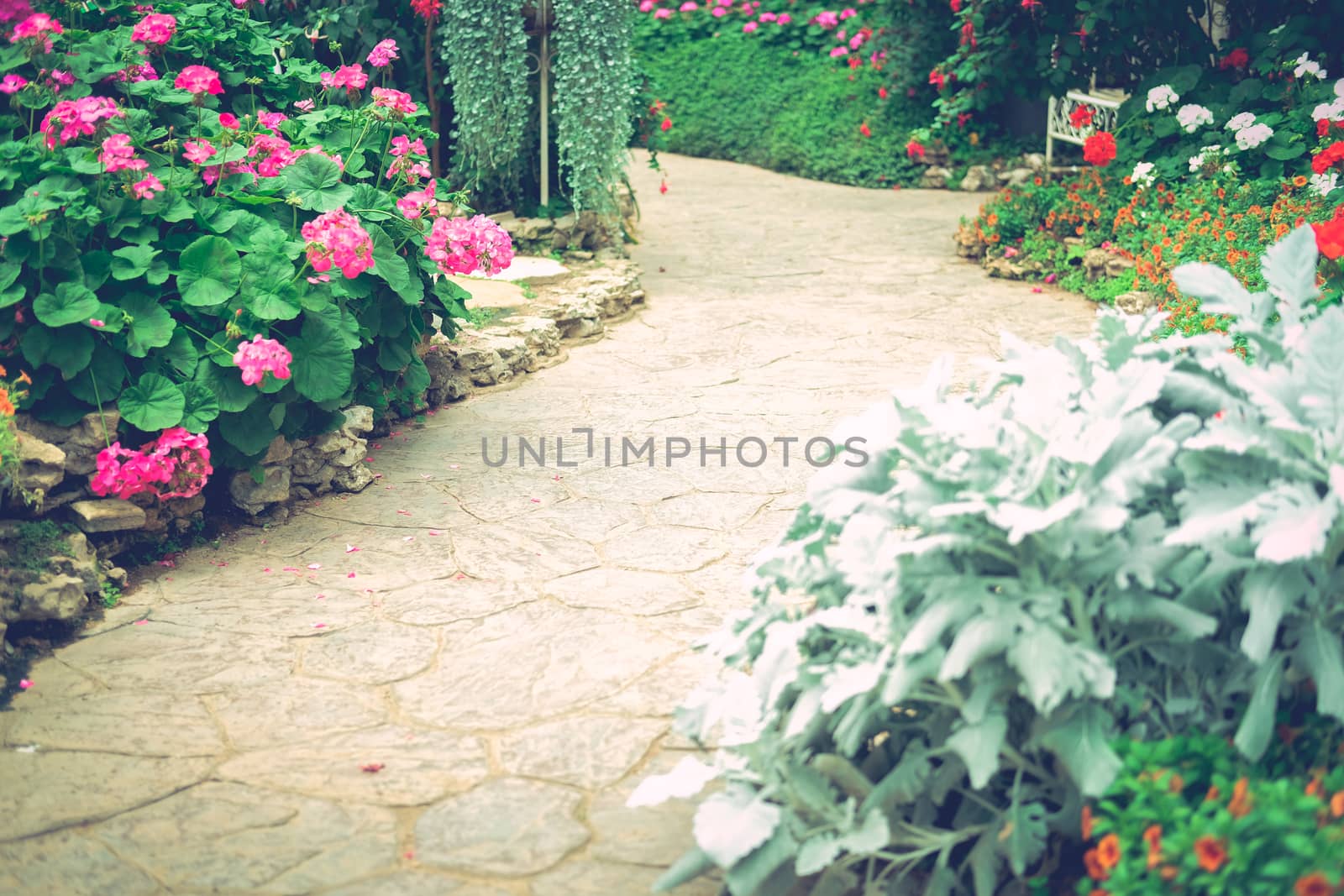 walkway pathway in flower garden park. tranquil nature scene