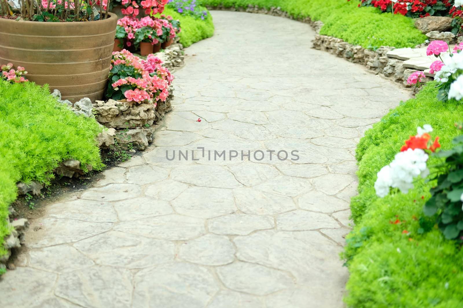 walkway pathway in flower garden park. tranquil nature scene