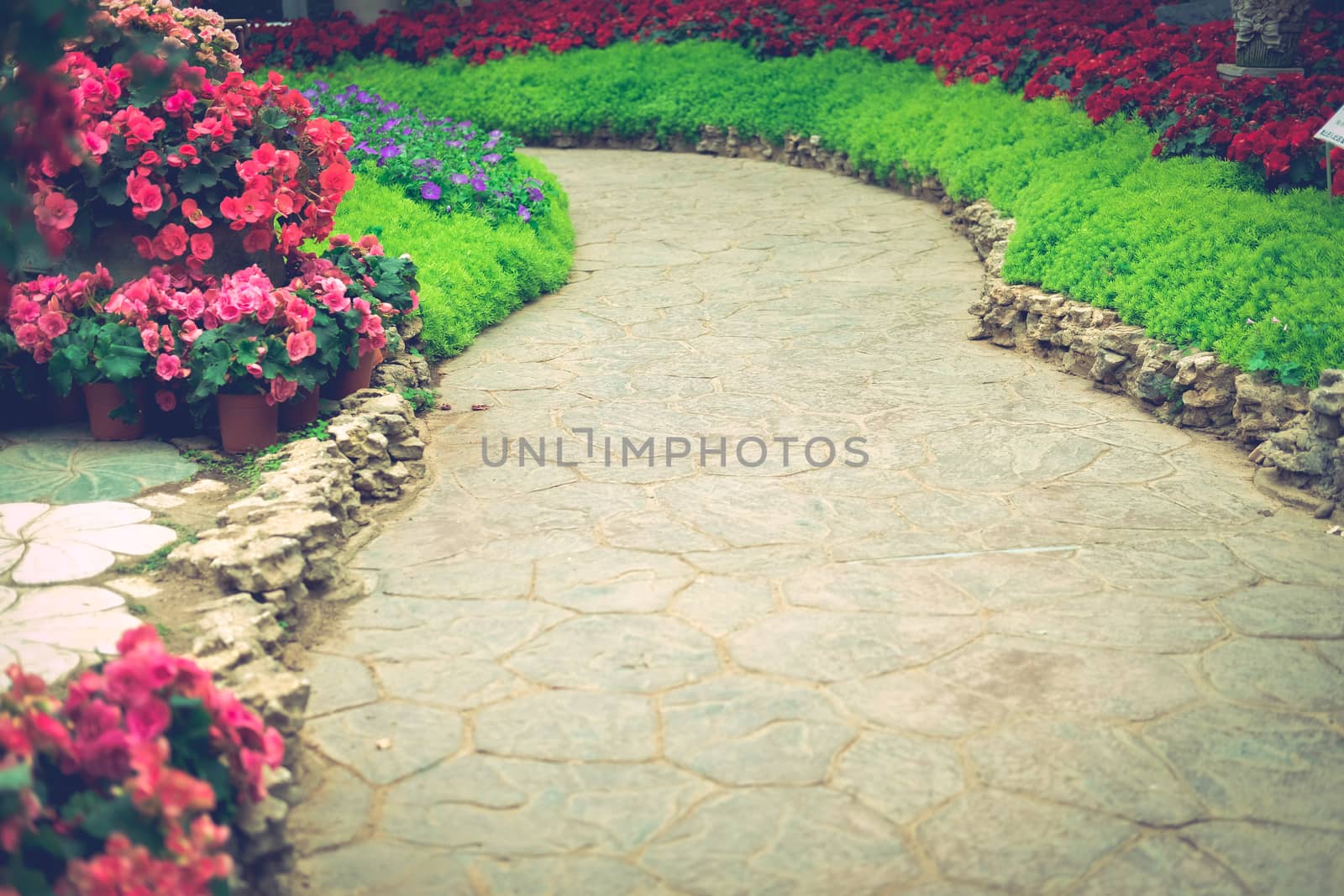 walkway pathway in flower garden park. tranquil nature scene