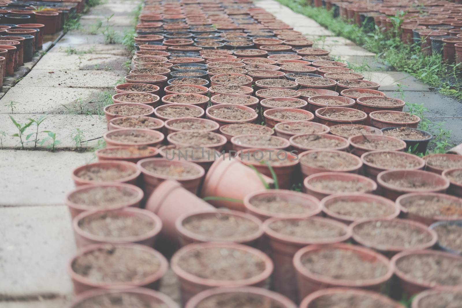 soil & fertilizer in planting pot for growing transplanting plant seedling in farm