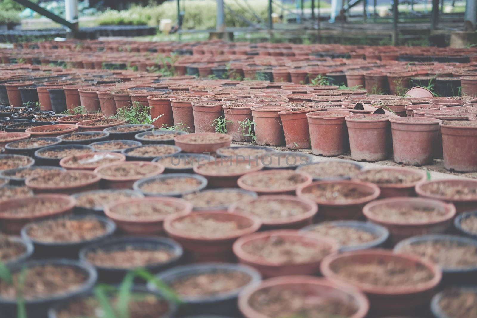soil & fertilizer in planting pot for growing transplanting plant seedling in farm