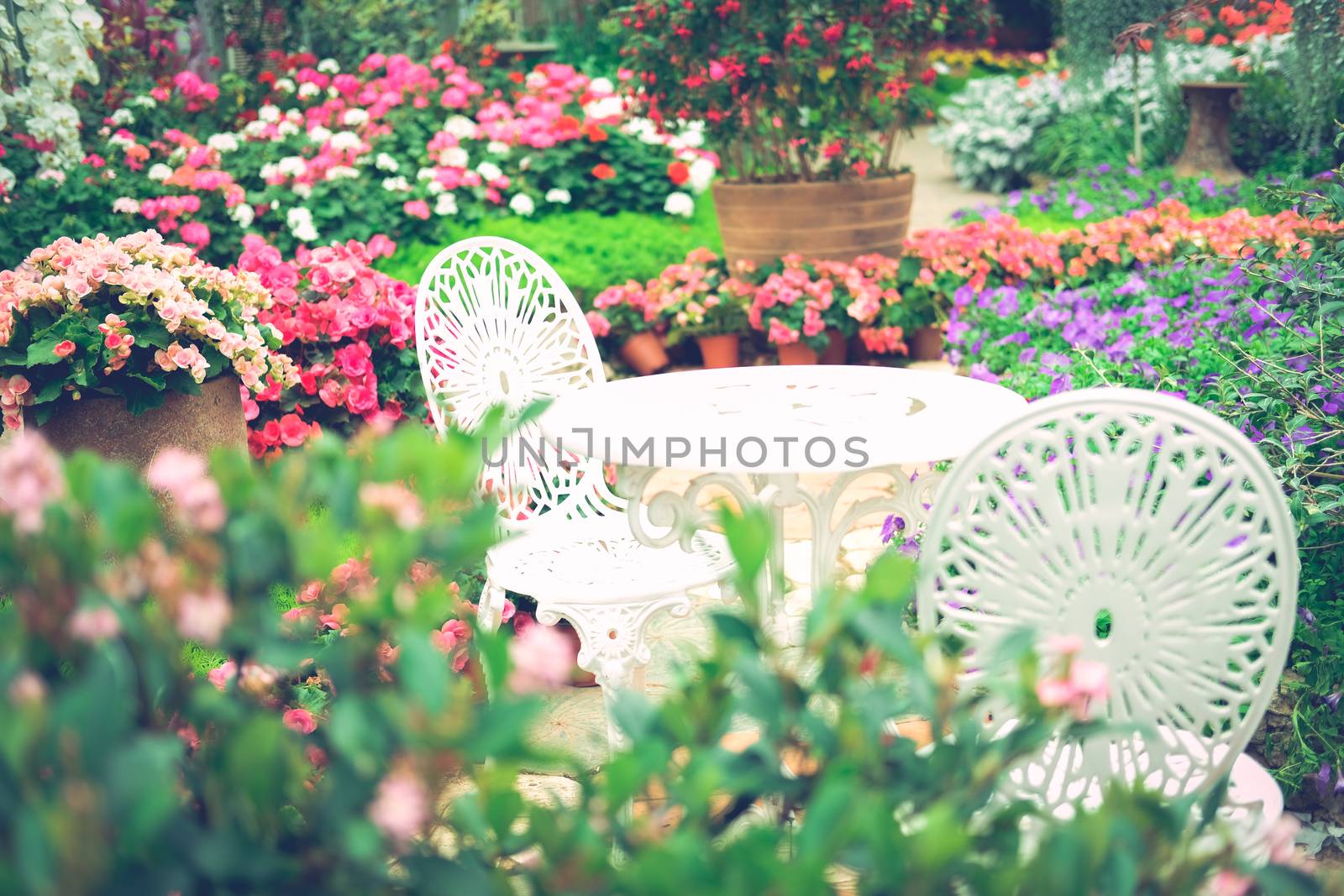 white metal seat chair in flower garden park in spring summer