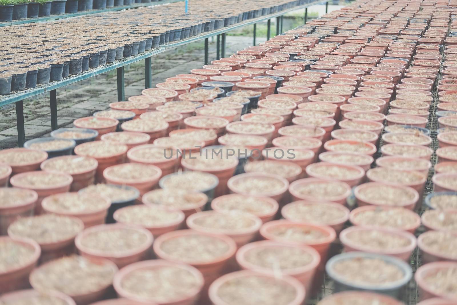 soil & fertilizer in planting pot for growing transplanting plant seedling in farm
