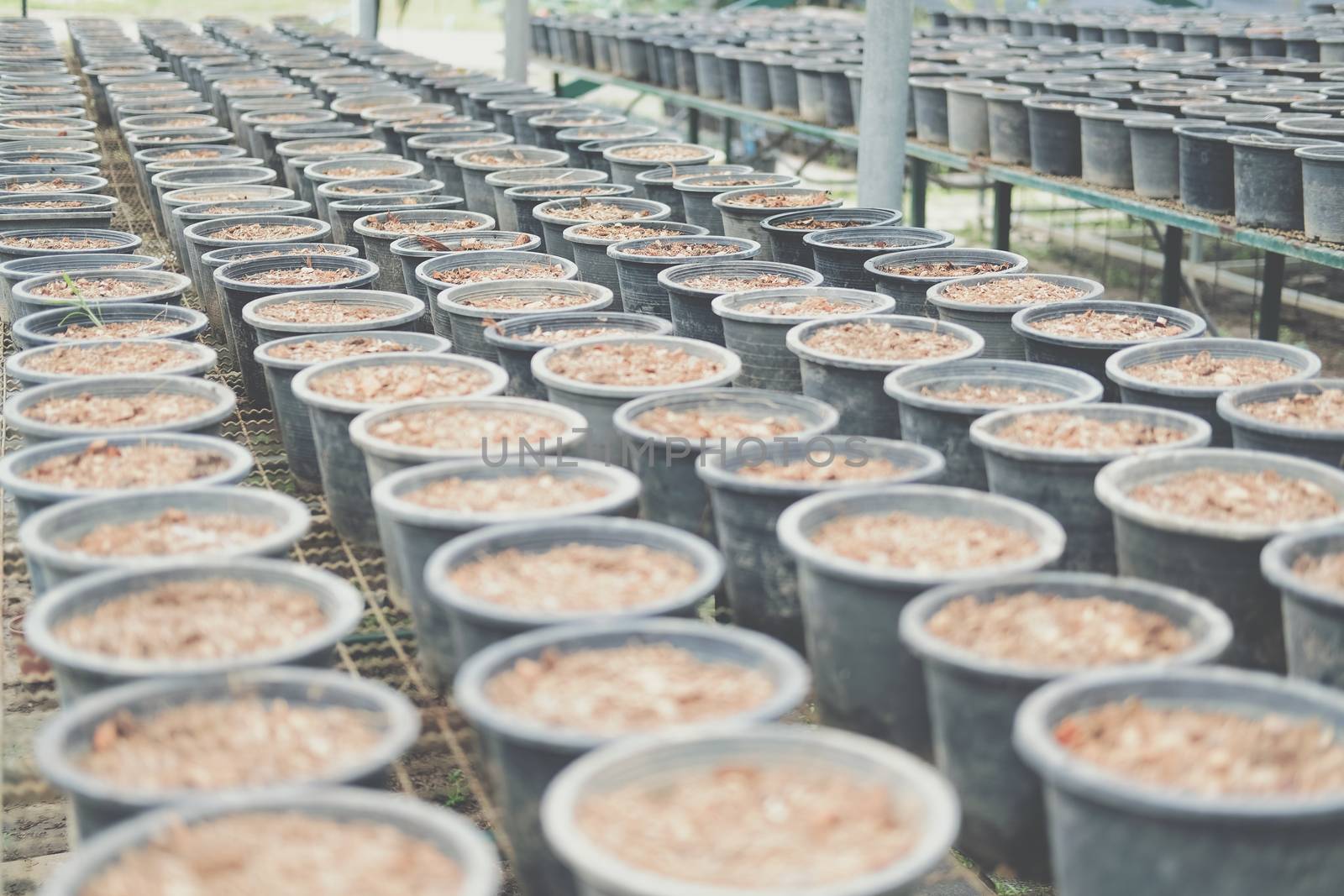 soil & fertilizer in planting pot for growing transplanting plant seedling in farm