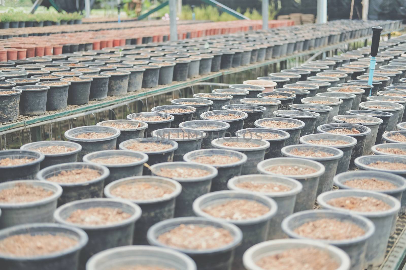 soil & fertilizer in planting pot for growing transplanting plant seedling in farm