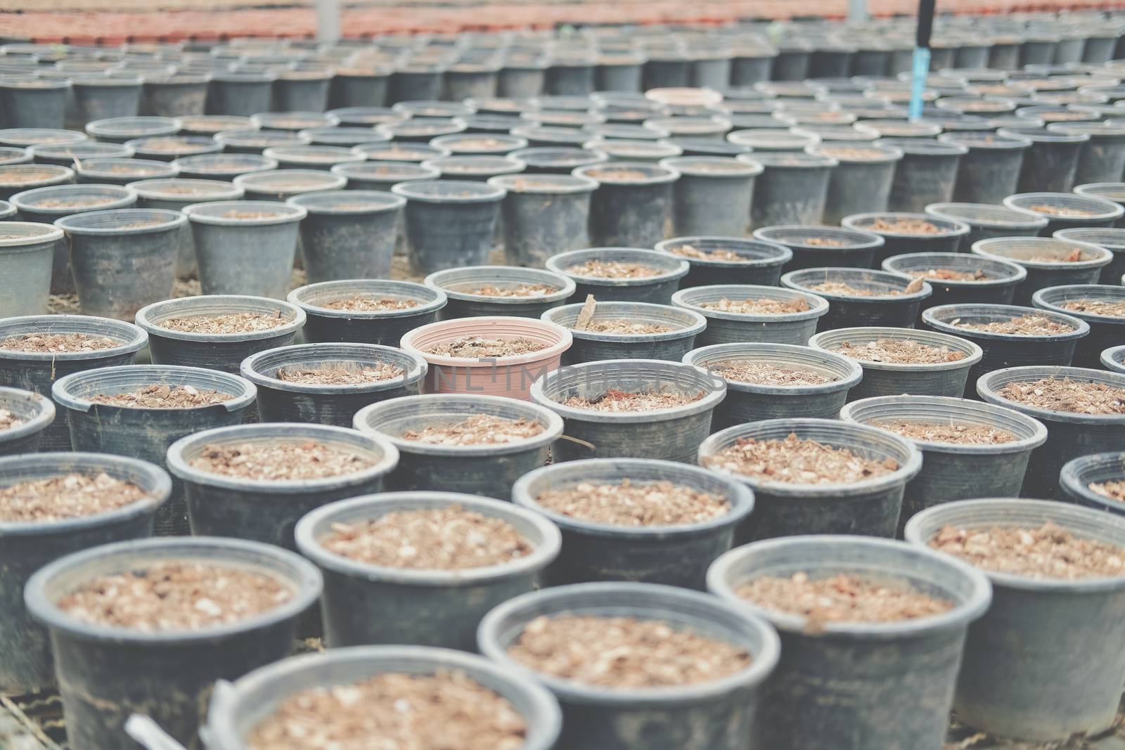 soil & fertilizer in planting pot for growing transplanting plant seedling in farm