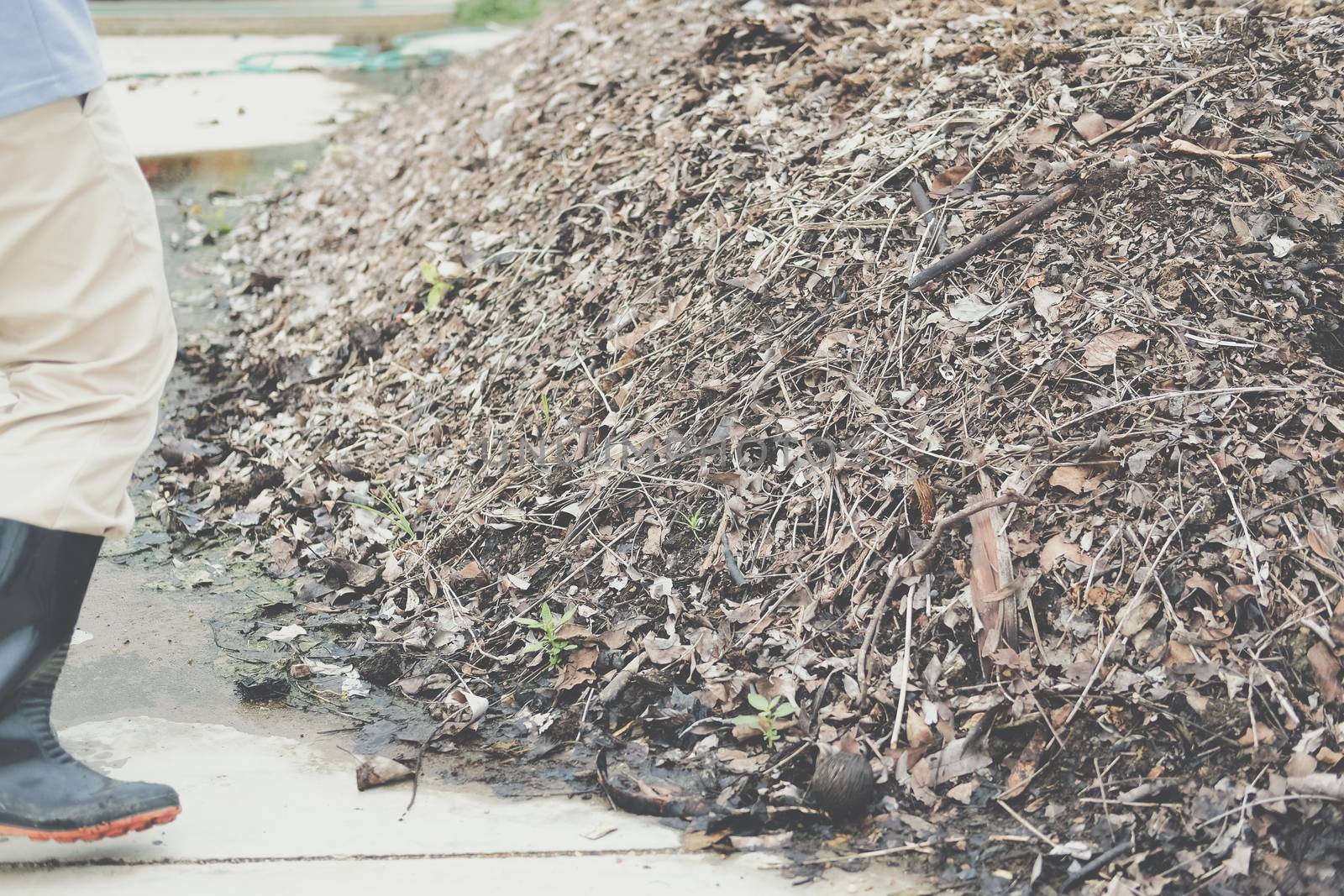organic compost heap. fertilizer production for soil cultivation in agriculture industry