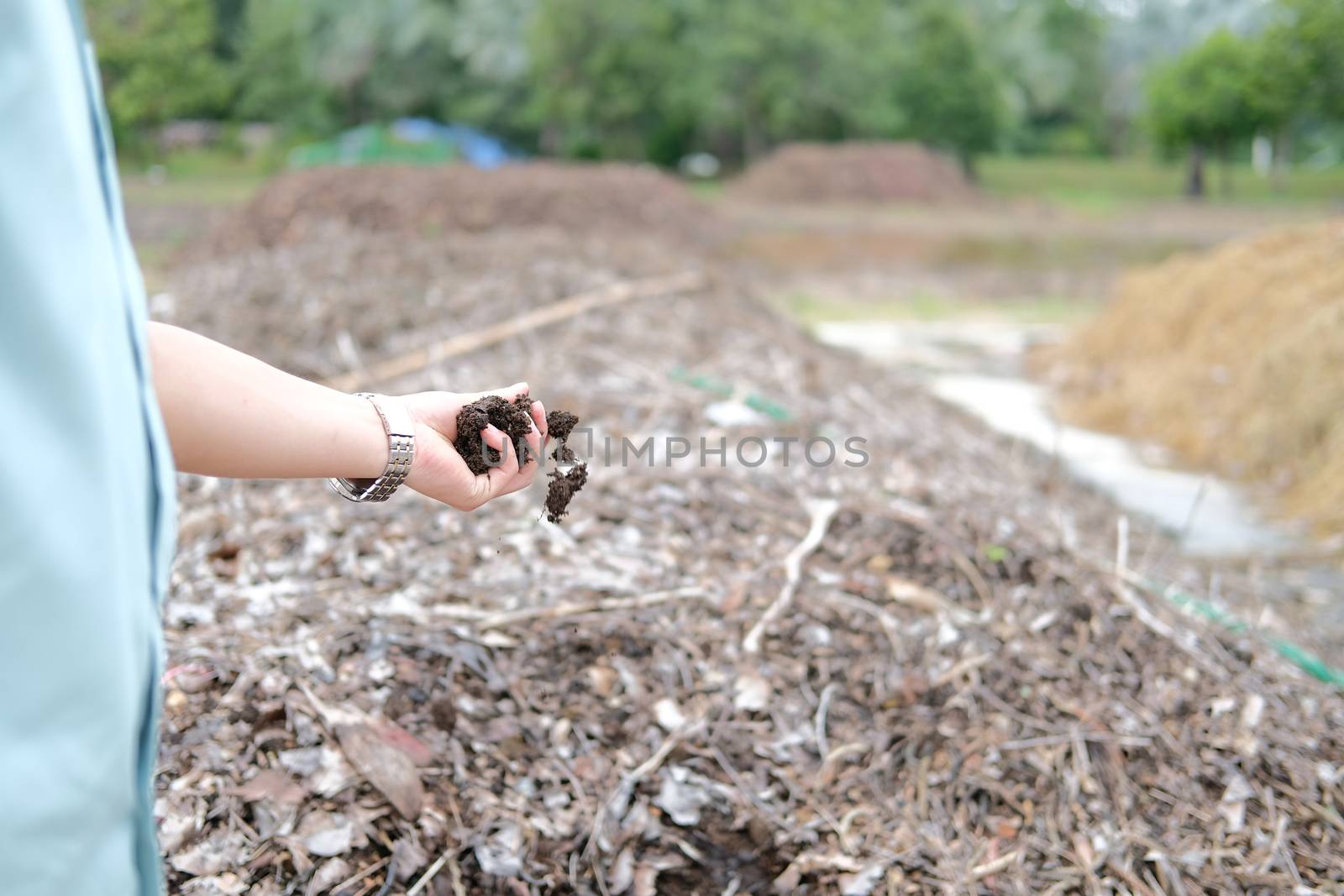 organic compost heap. fertilizer production for soil cultivation in agriculture industry
