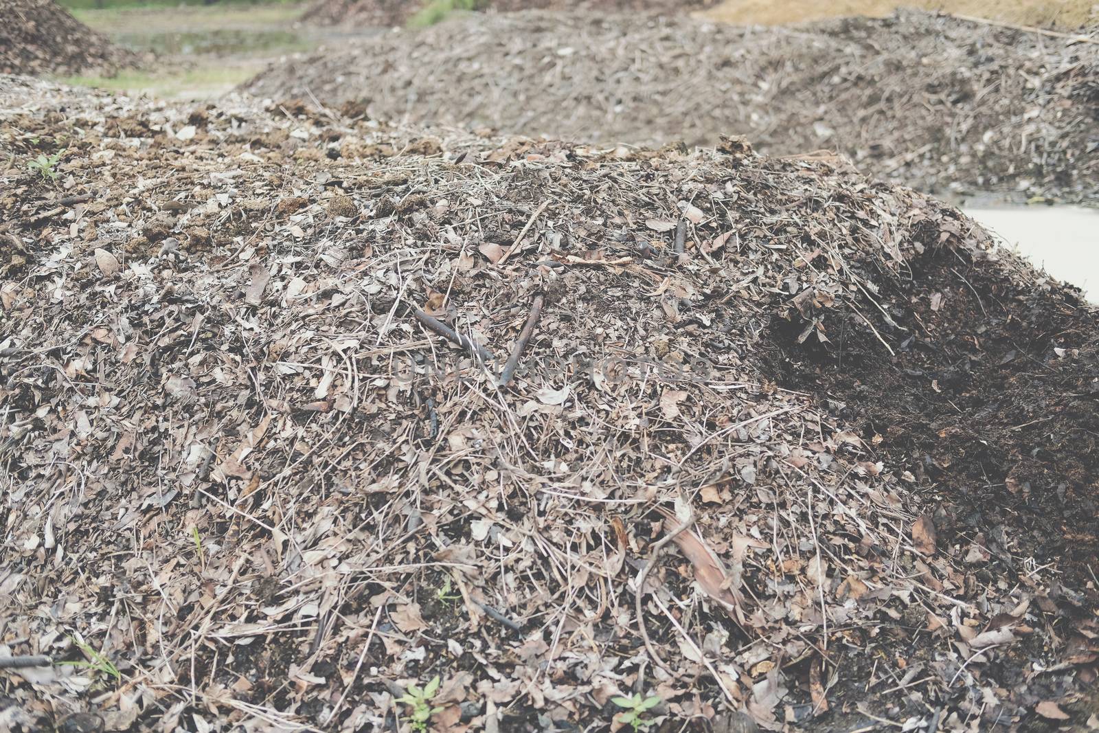 organic compost heap. fertilizer production for soil cultivation in agriculture industry