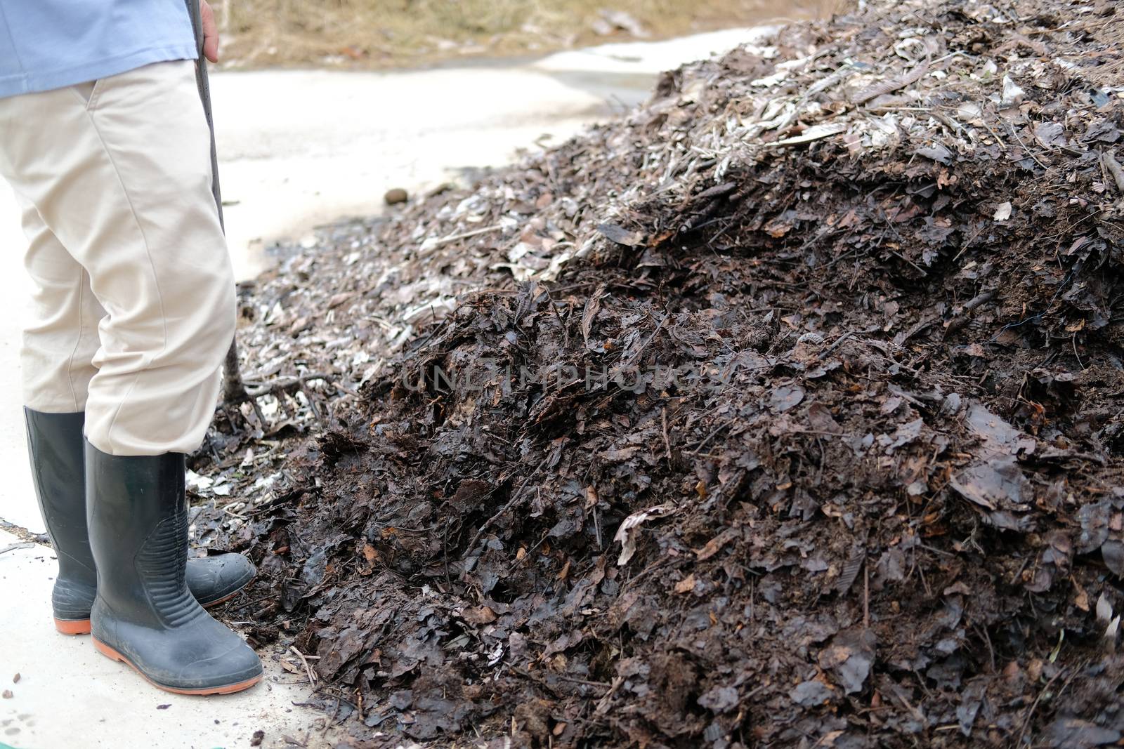 organic compost heap. fertilizer production for soil cultivation in agriculture industry