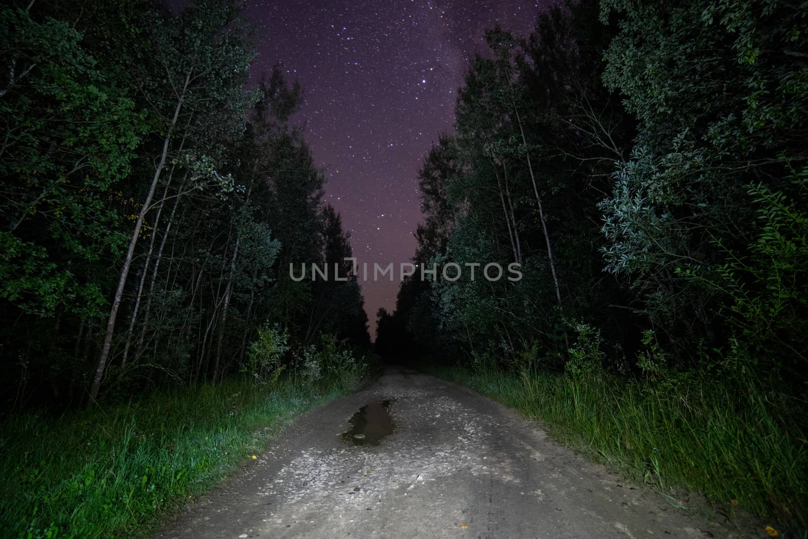 spooky pitch black night in summer forest dirt road with stars.