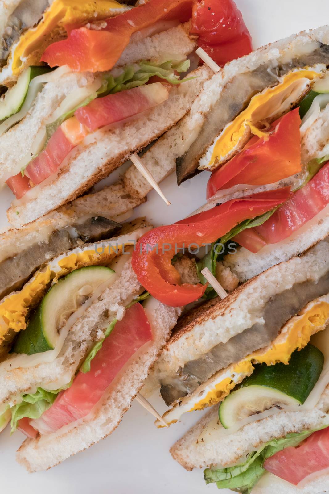 Vegetarian sandwiches by germanopoli