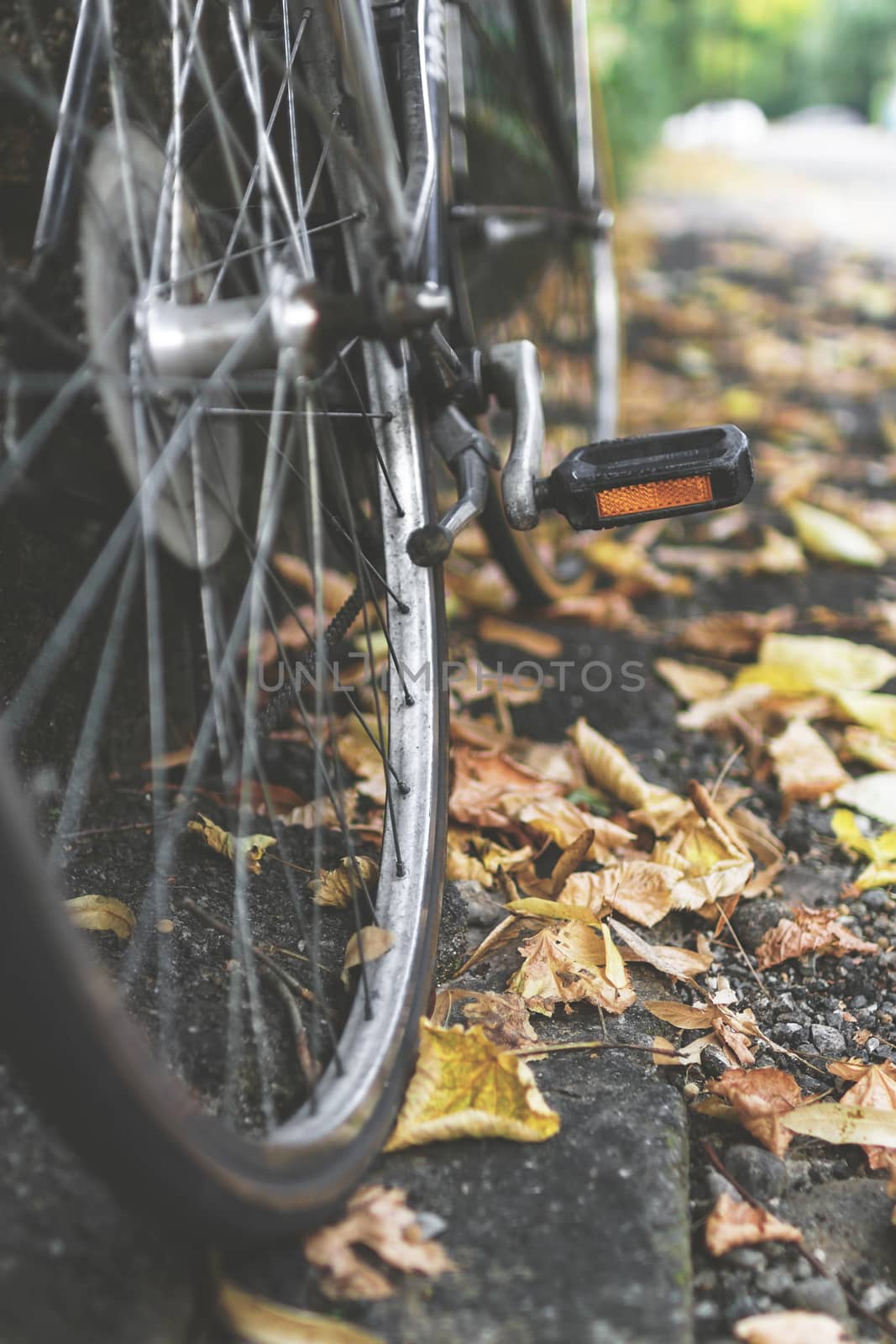 Urban bicycle parked on a sidewalk covered with fallen leaves. Vintage bicycle wheel. Part of old urban bicycle wheel. Retro style photo. Shallow depth of field.