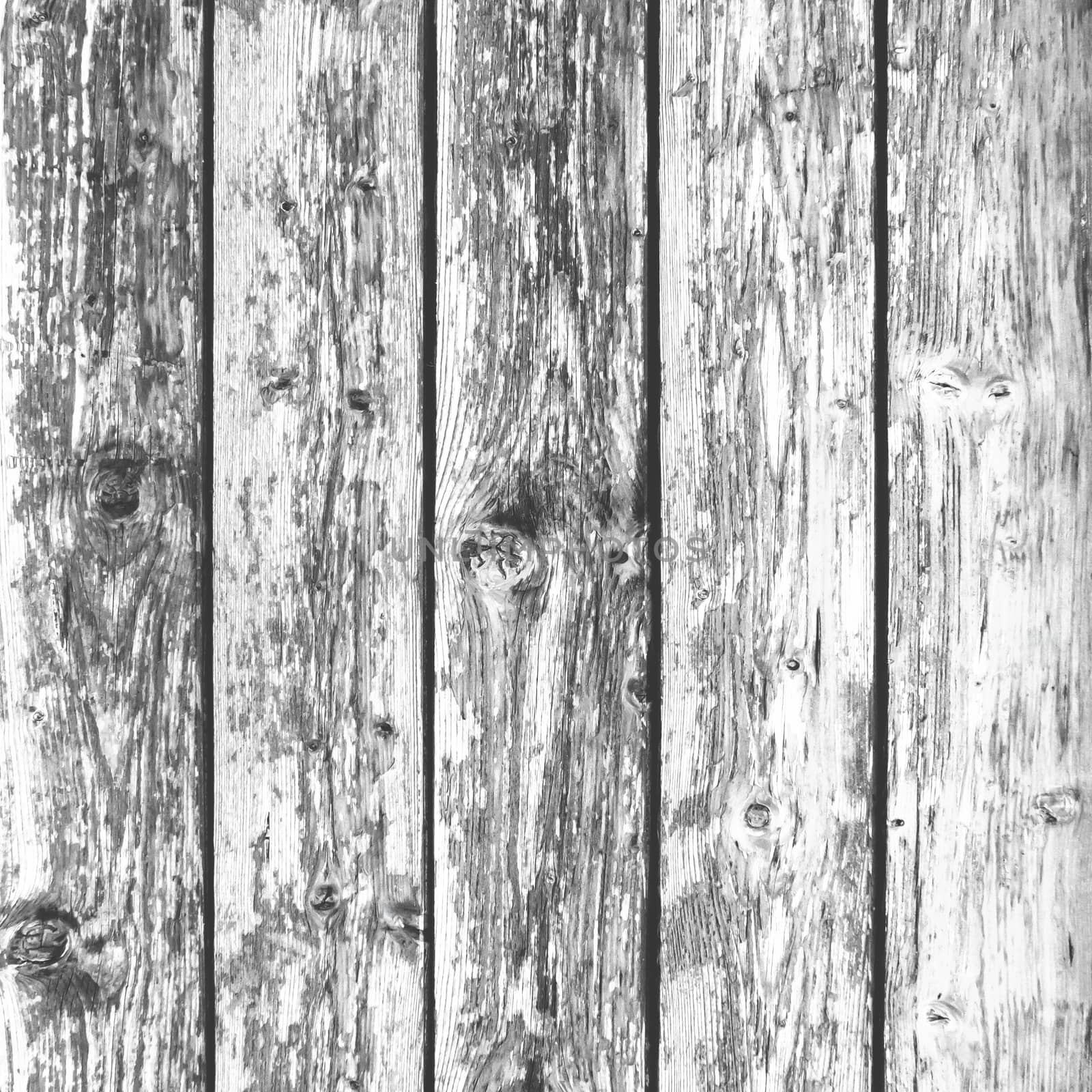 Rustic wooden background by germanopoli