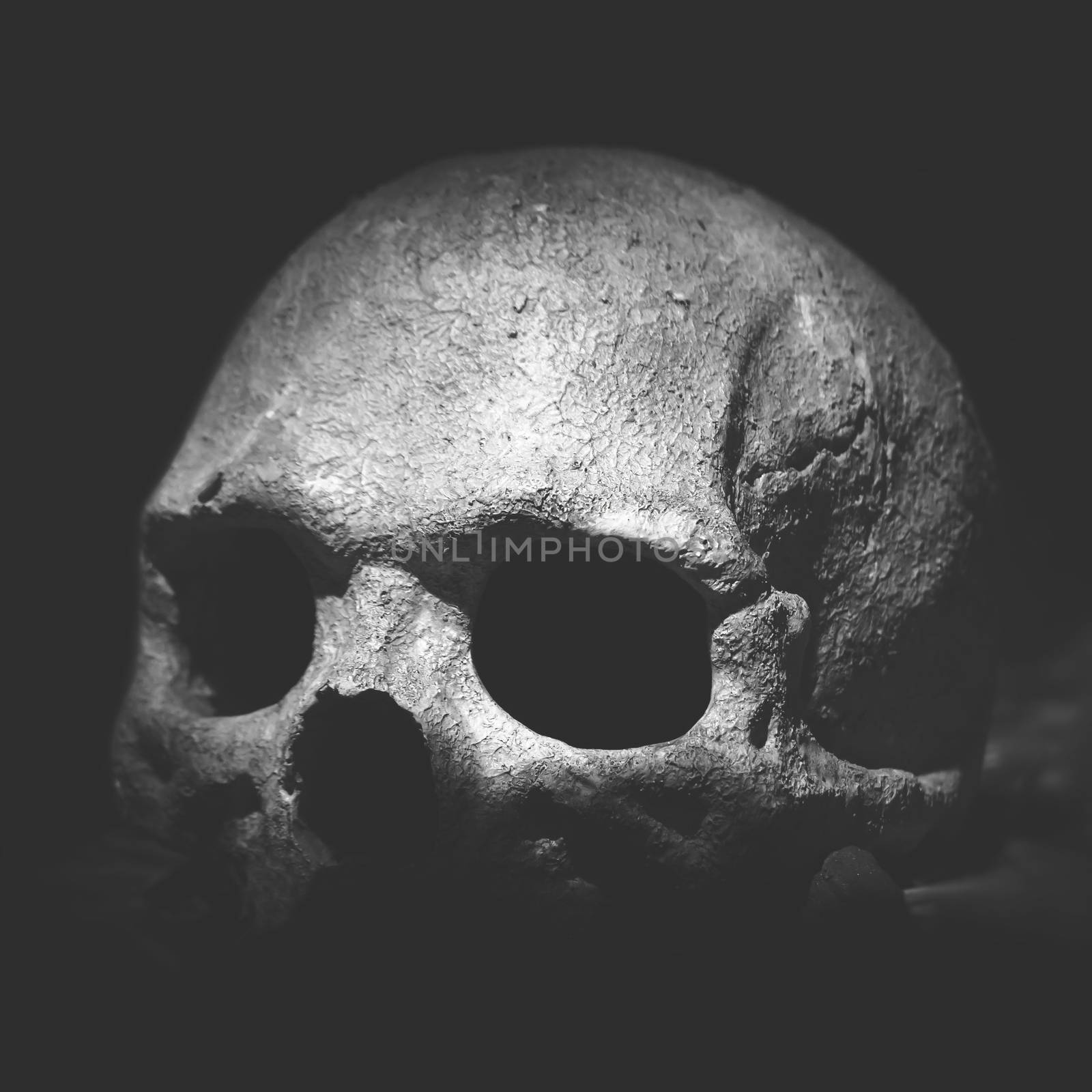 Old skull. Real human skull on dark background. Vintage black background.