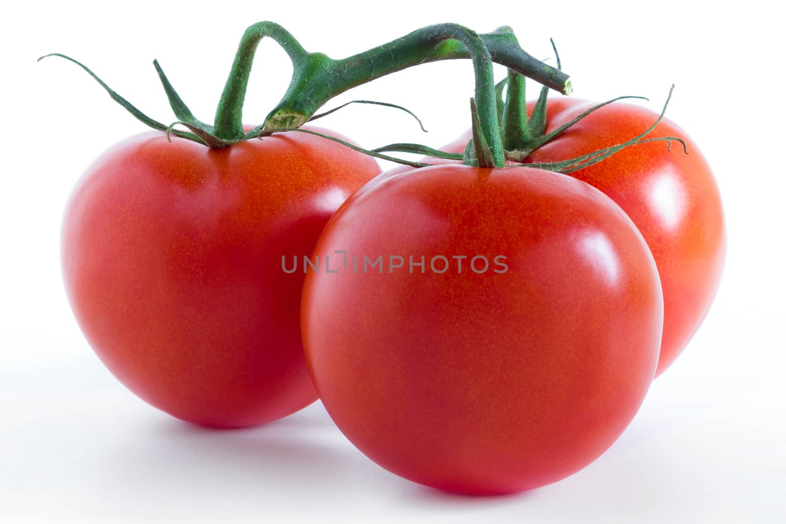 Fresh three tomatoes by germanopoli