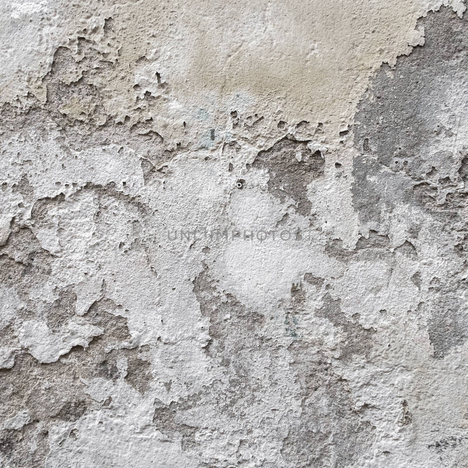 Grungy peeling plaster by germanopoli