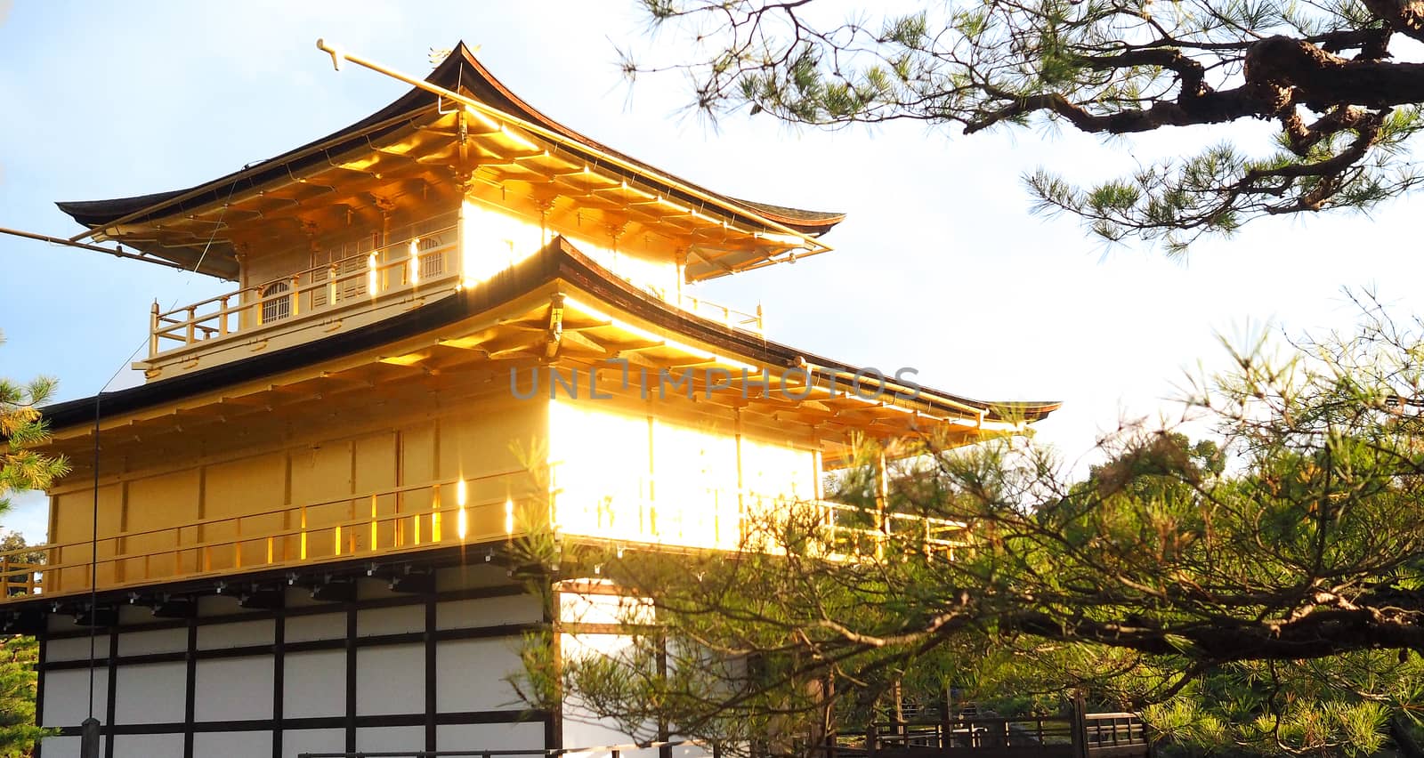 Golden temple or Kinkakuji in Kyoto Japan shoot from back side and have flare blur of real sun light from golden material.