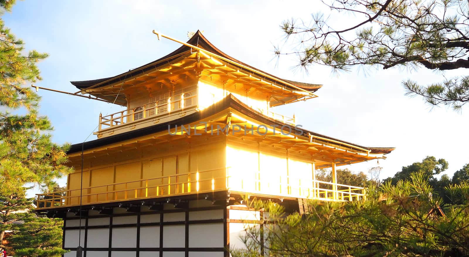 Golden temple or Kinkakuji in Kyoto Japan. by gnepphoto