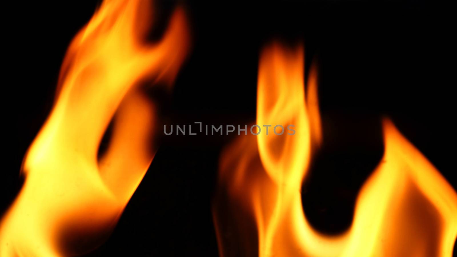 Fire close-up on black background. by gnepphoto