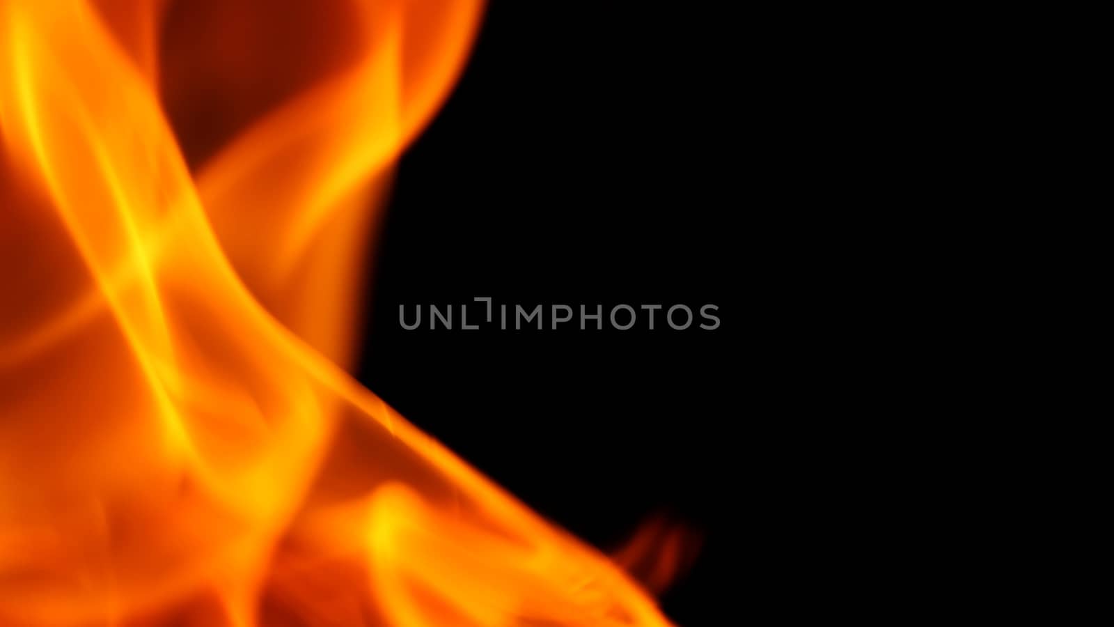 fire is flamming and burning on black background. by gnepphoto