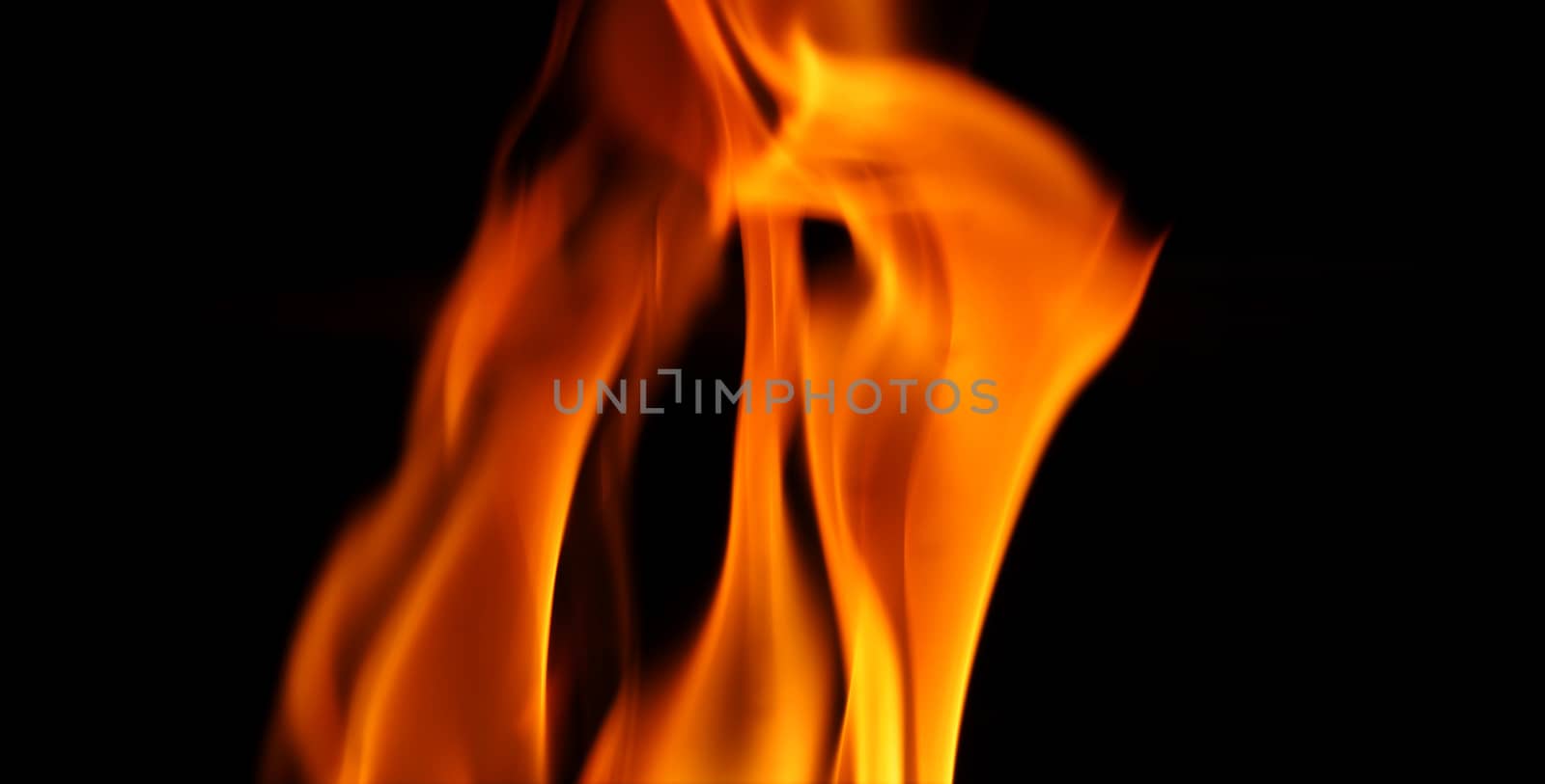 fire is flamming and burning on black background. by gnepphoto