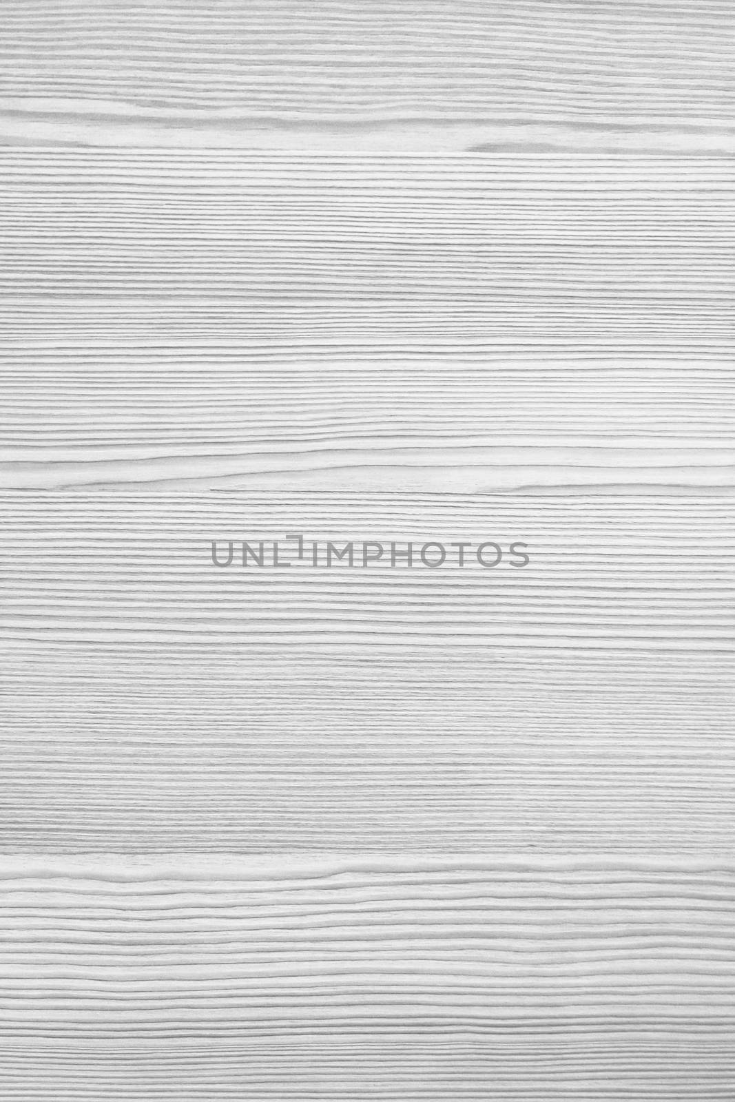 White wood background by germanopoli