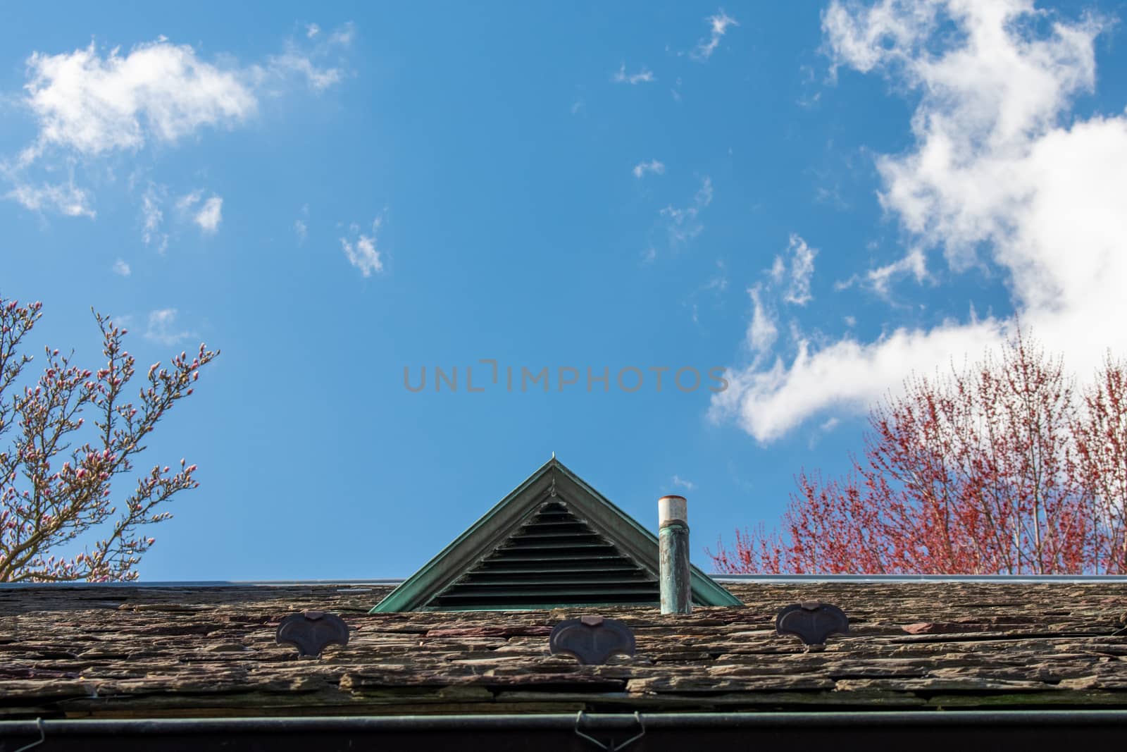 A Gable Vent on a Stone Roof With a Clear Sky Behind It by bju12290