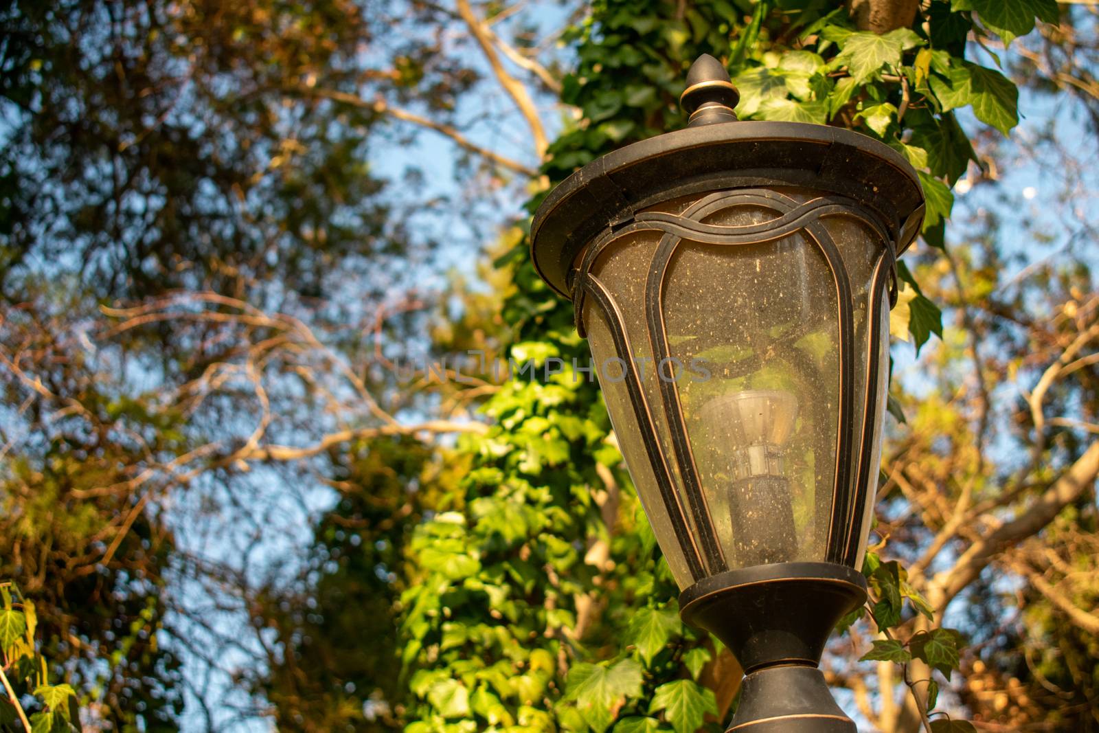 An Old Fashioned Black Metal Light Post With a Tree Behind It