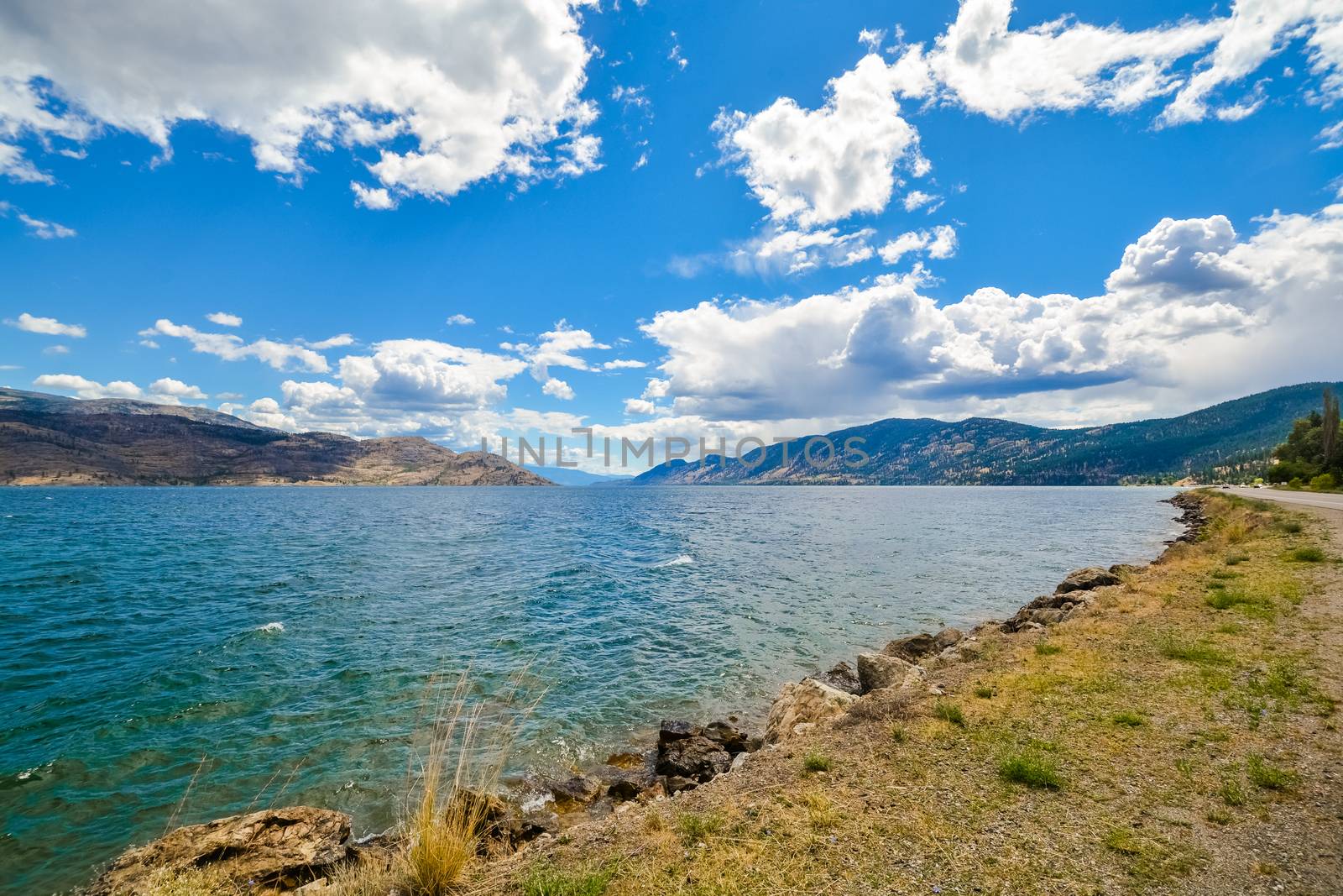 Beautiful view on Okanagan lake from the shore